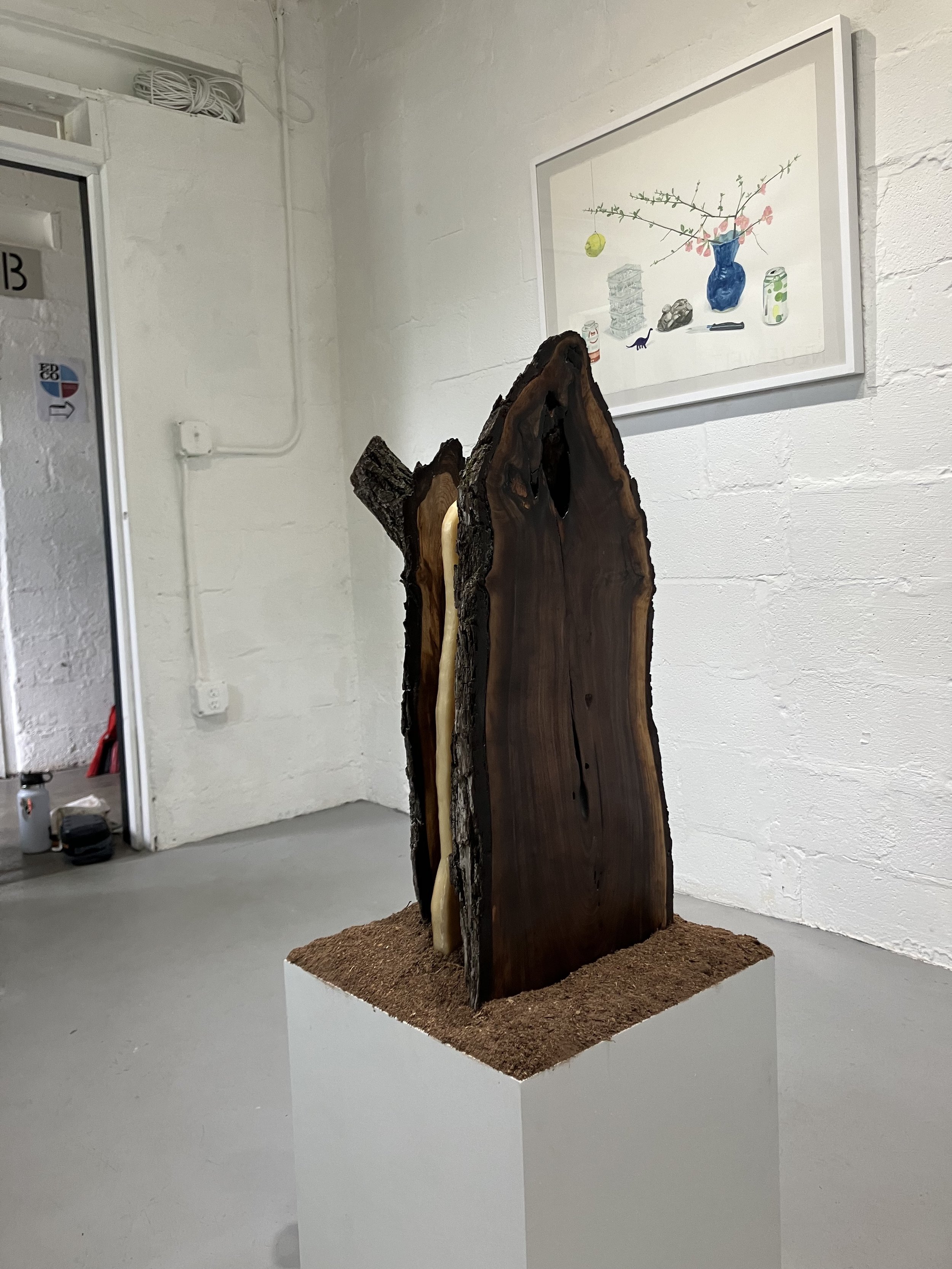 Memorial for Felled Tree