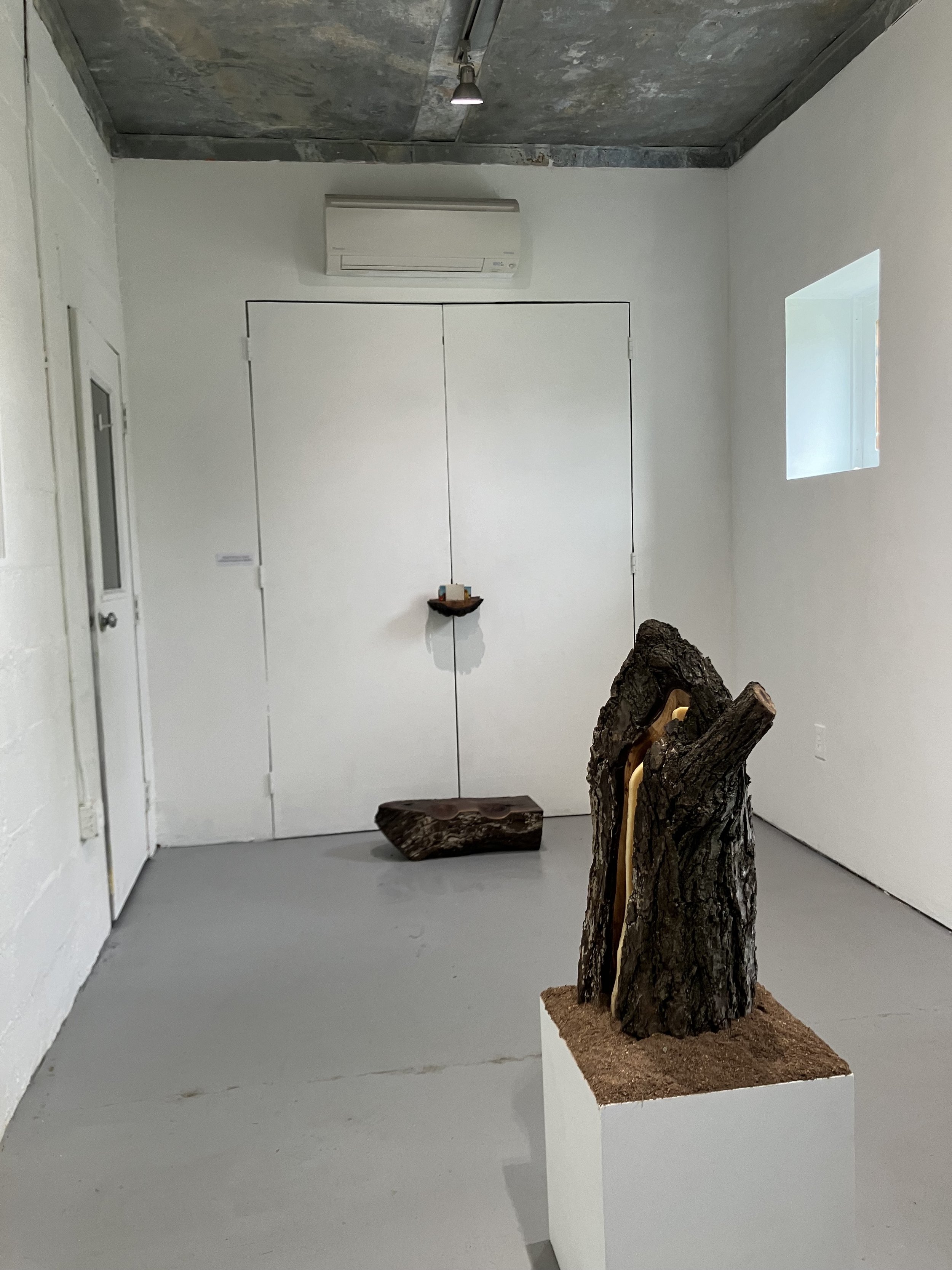 "Attention" installation shot