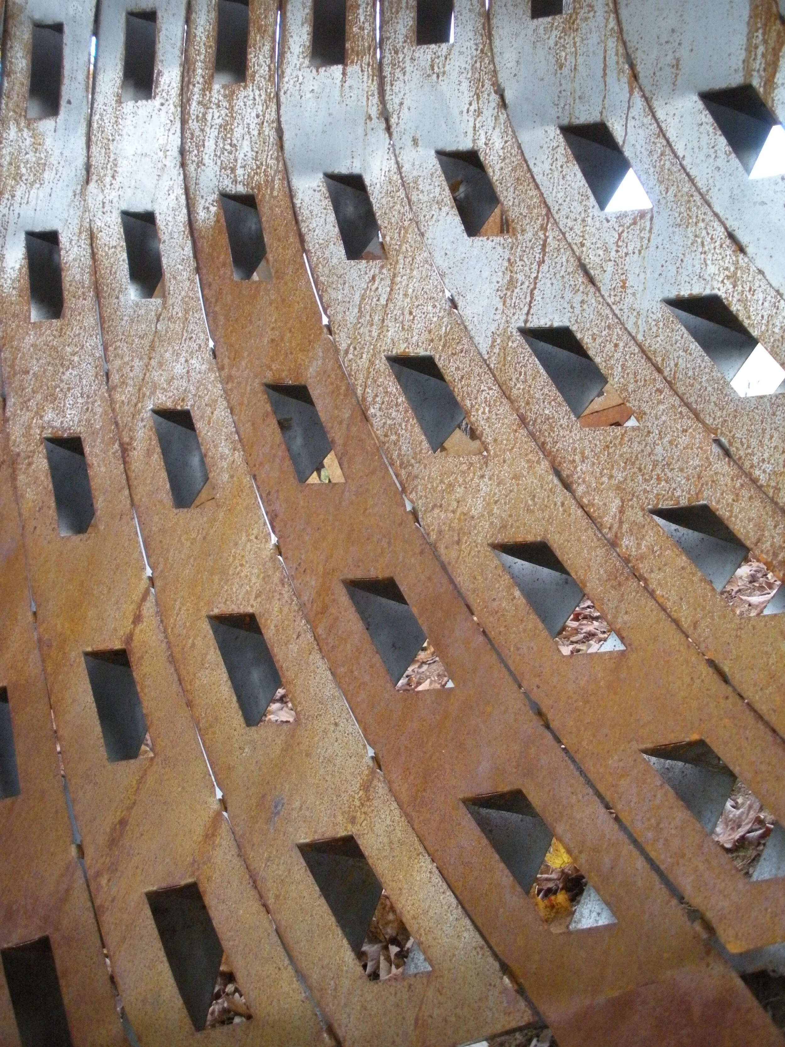DSCN6137.JPG