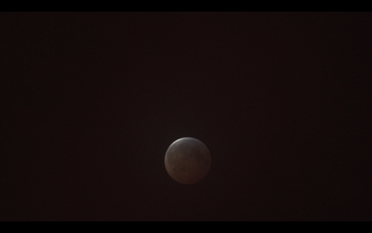 Screen Shot 2019-03-26 at 8.19.45 PM.png