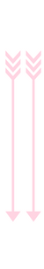 down arrows.png