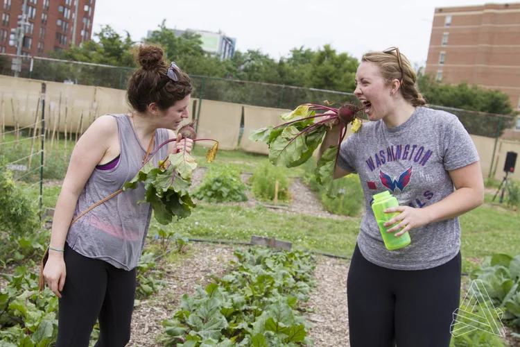 Bendy Brunch: Turnip for what?