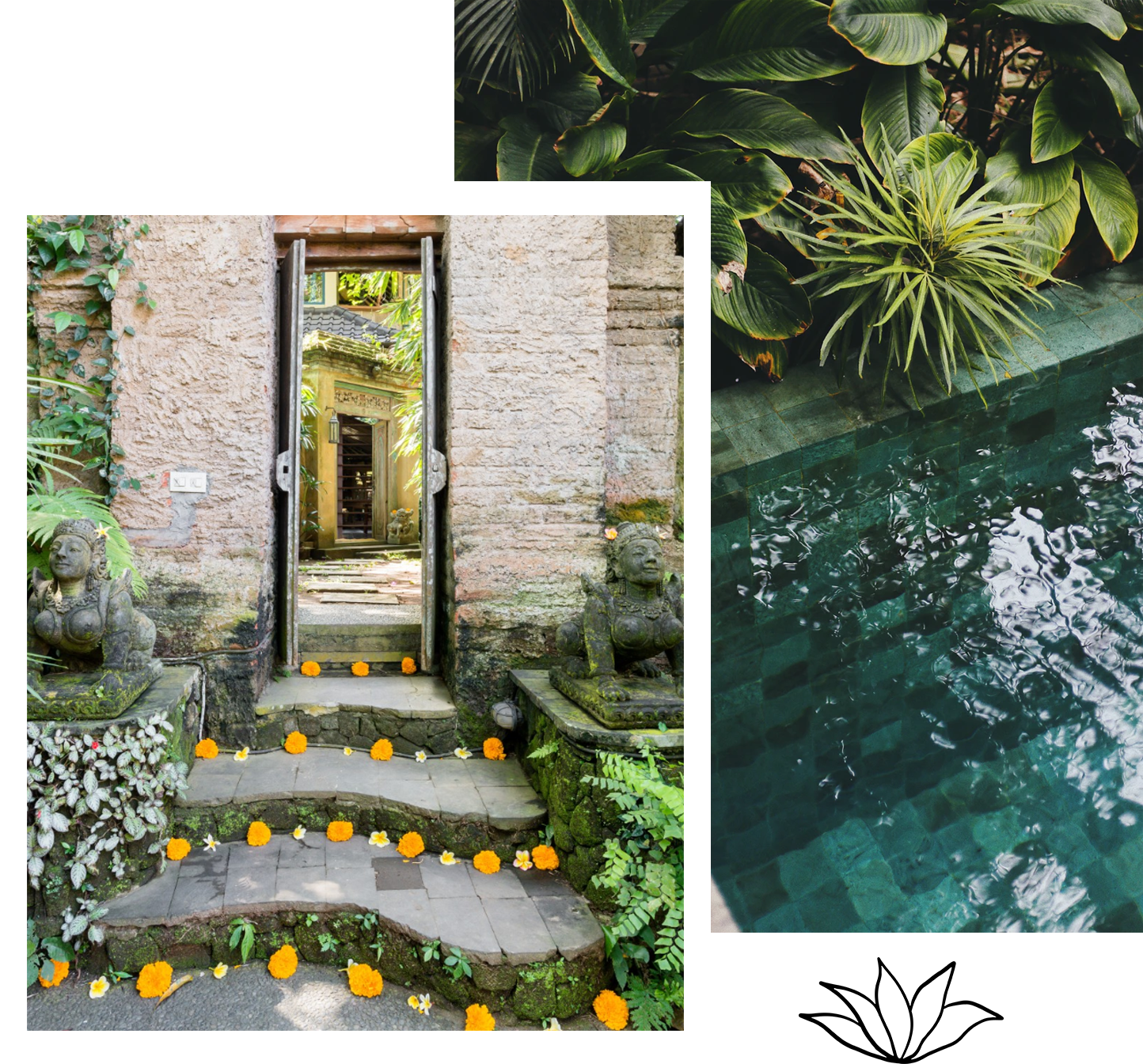 Bali Slideshow Collage 6.png