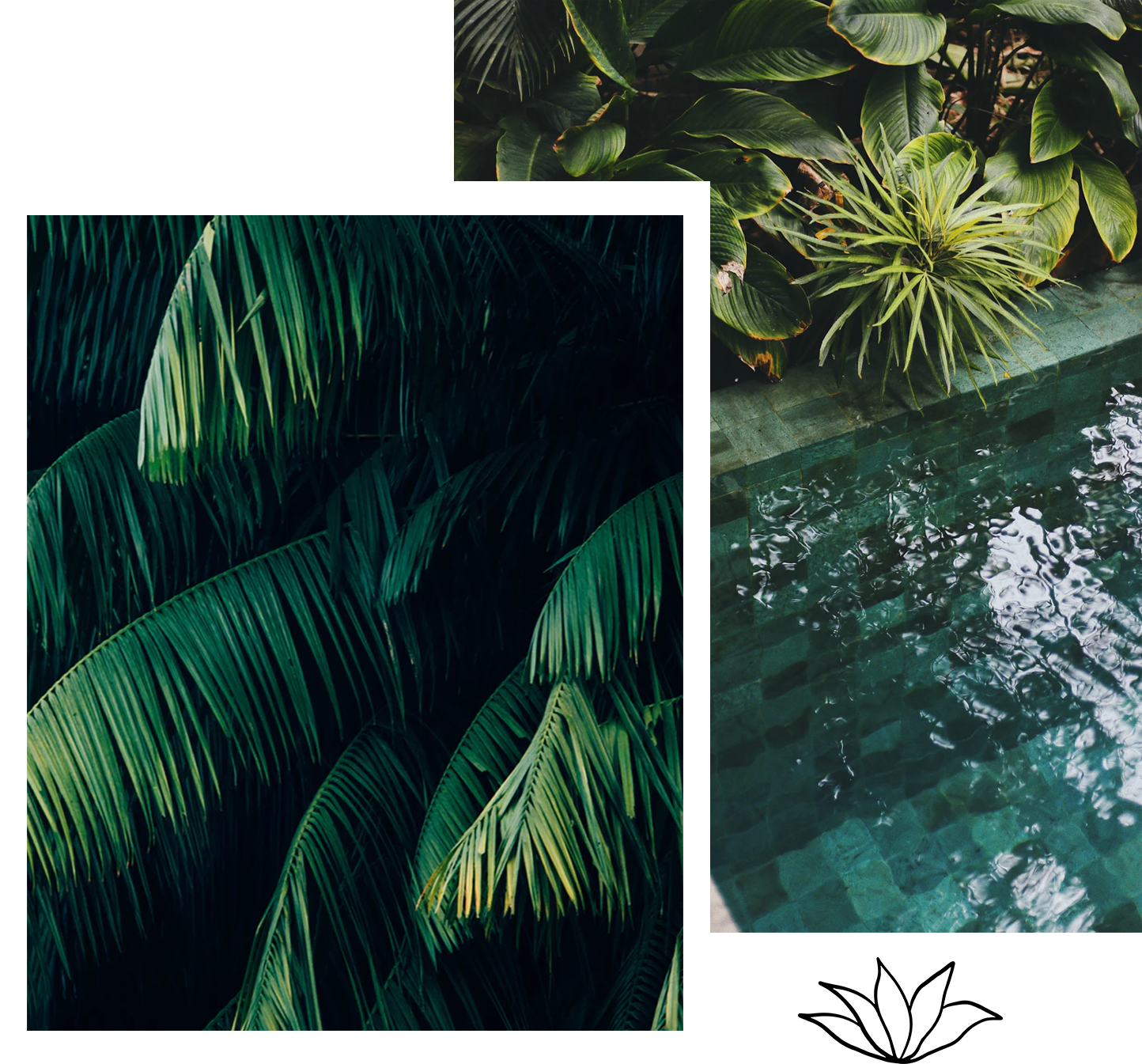 Bali Slideshow Collage 5.png