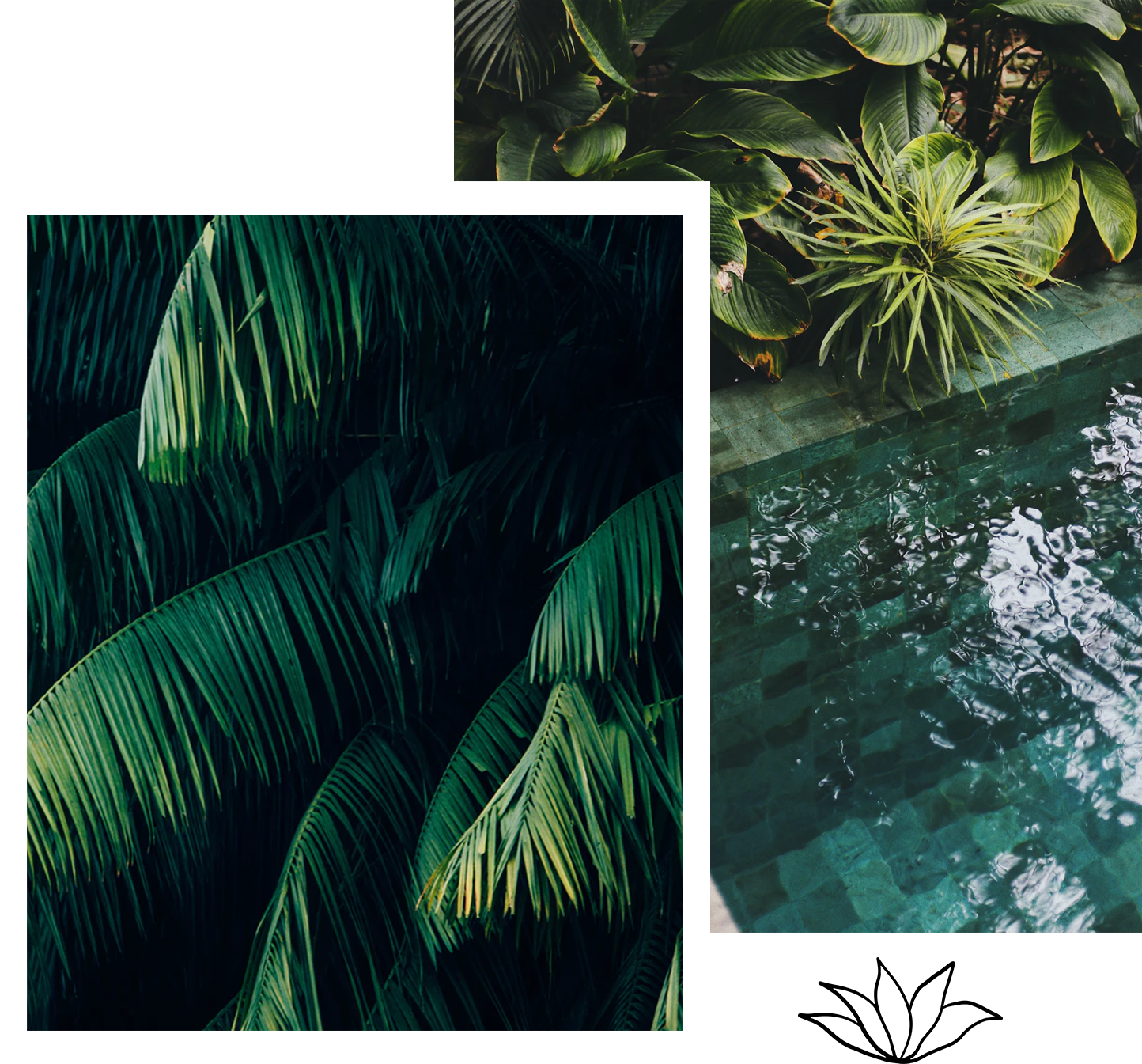 Bali Slideshow Collage 5.png