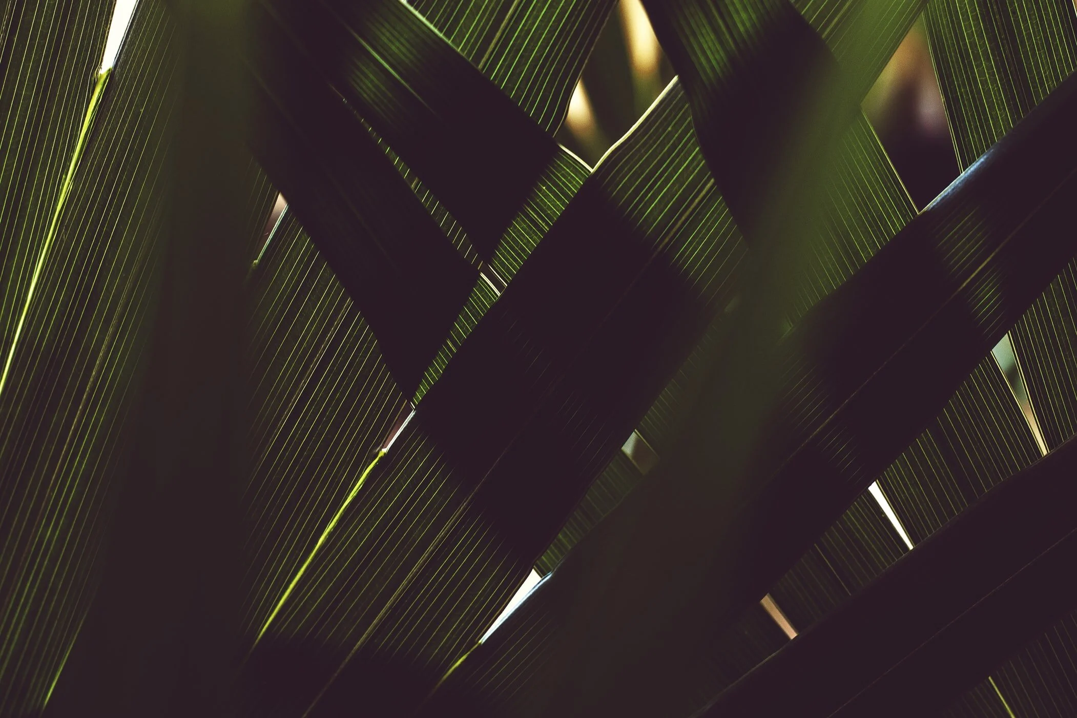 photo-1541225640048-a30ee9bb3180.jfif