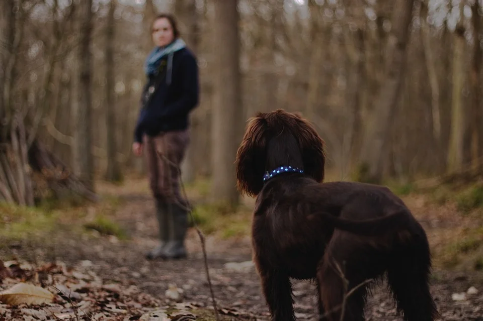 Man-with-dog.jpg