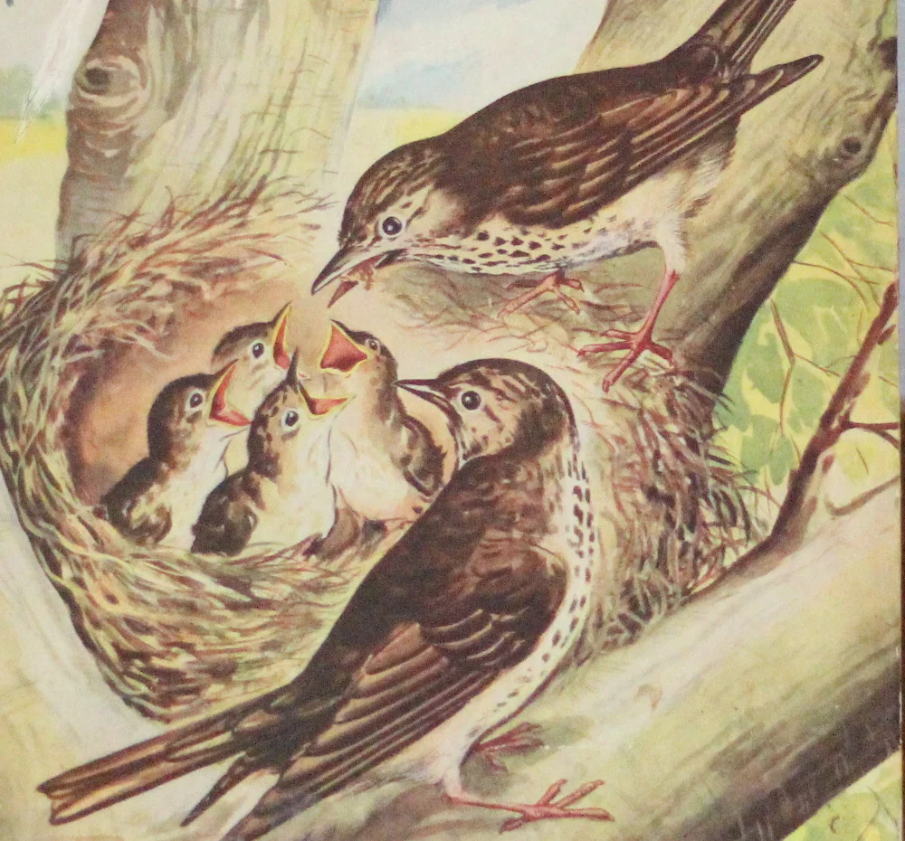 Spring has sprung in North London!