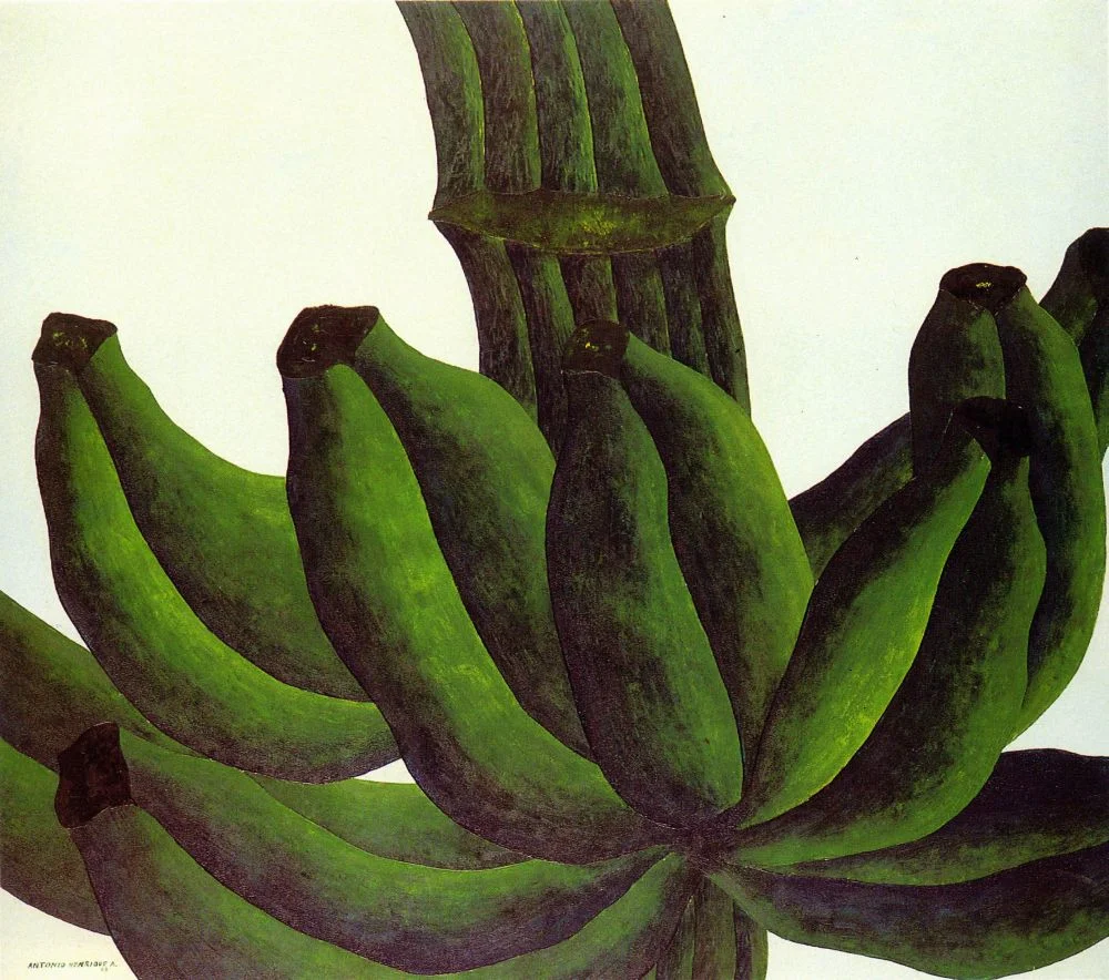 Brasiliana 9