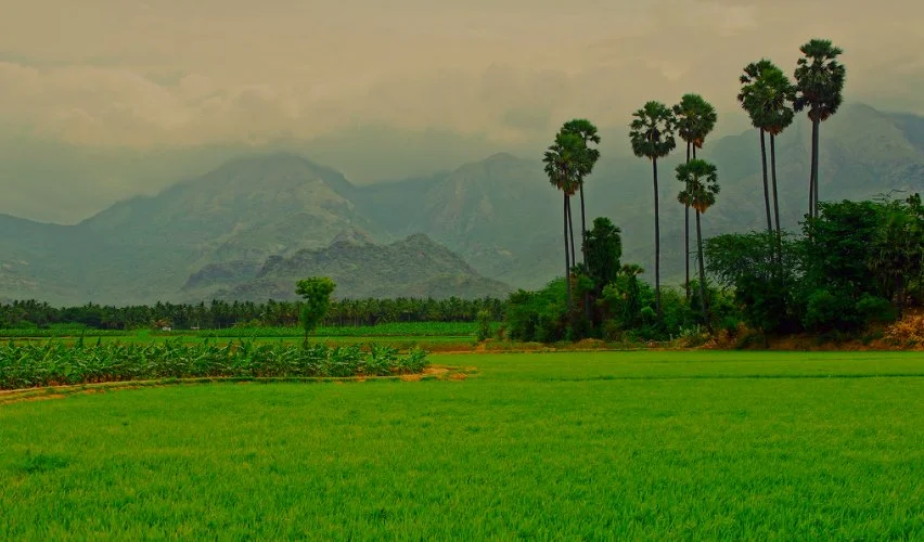  Ambasamudram, Tamil Nadu