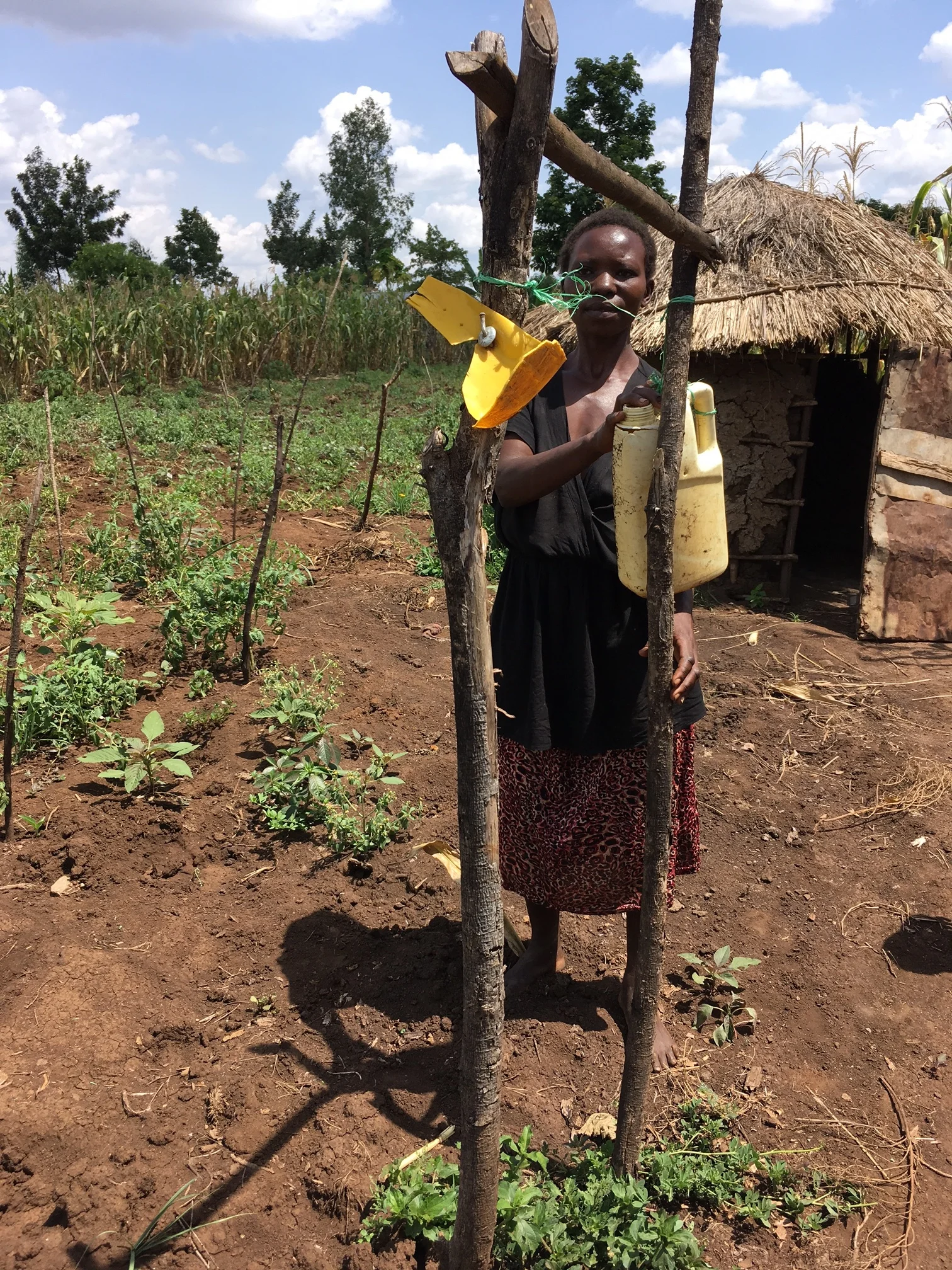 One of the 14 points of a healthy home: a latrine with a tip top. 