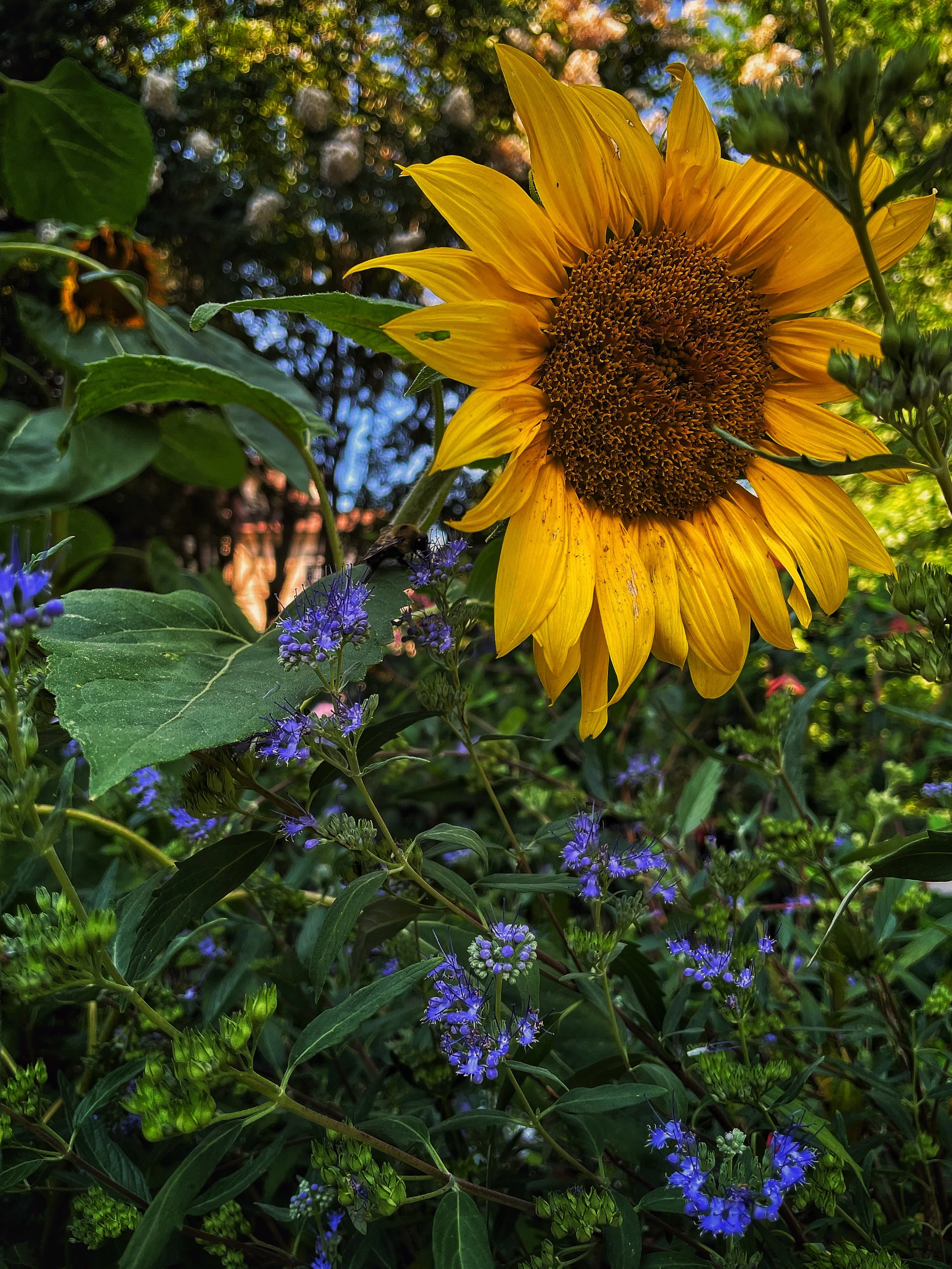 IMG_9606.JPG