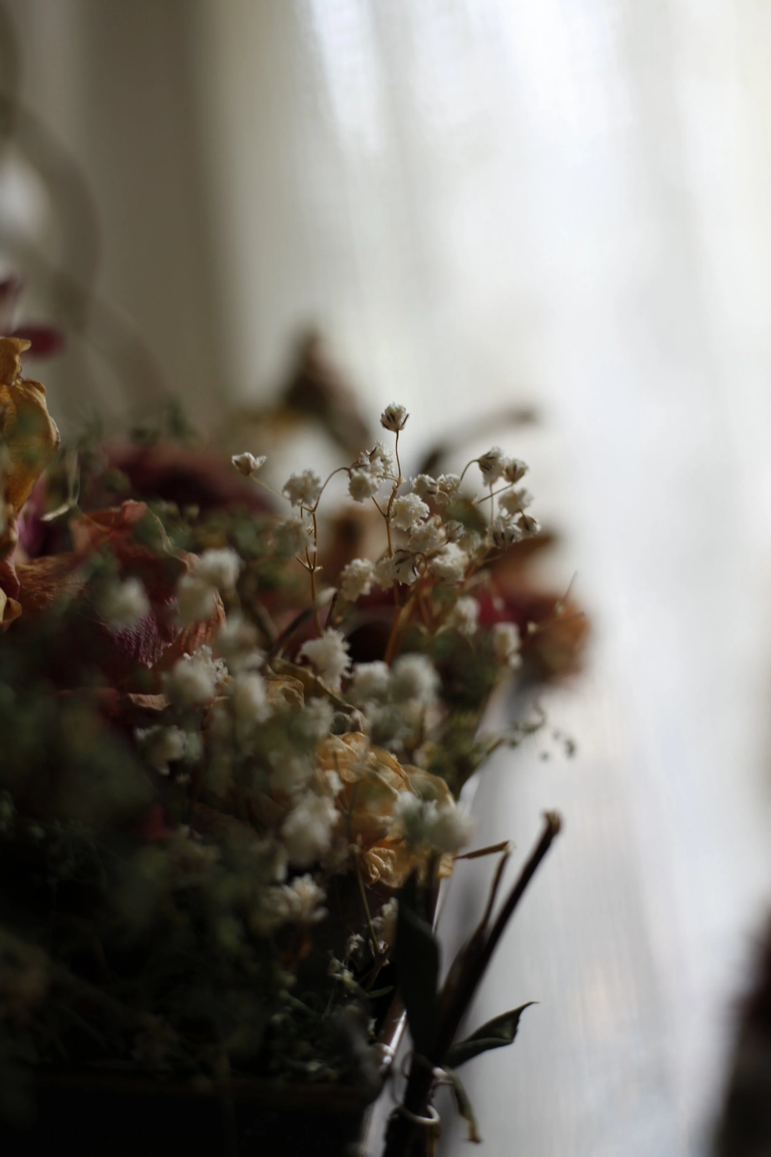 _MG_3991.JPG