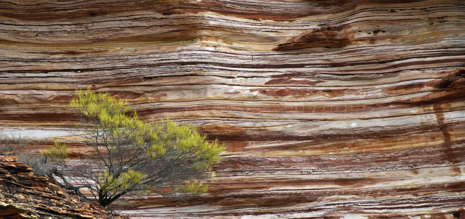 Layers_Geology_Contact.jpg