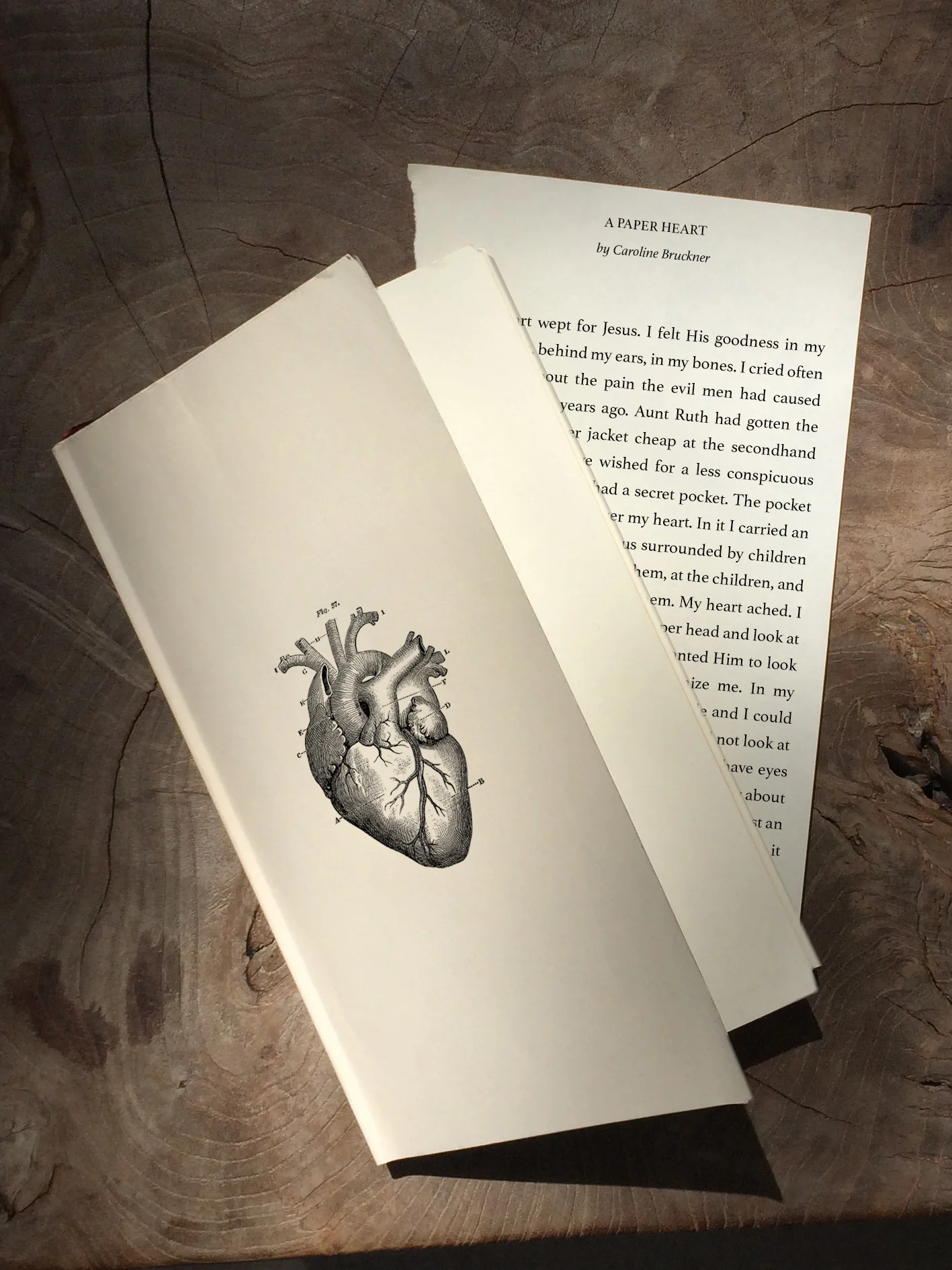 apaperheart.jpg