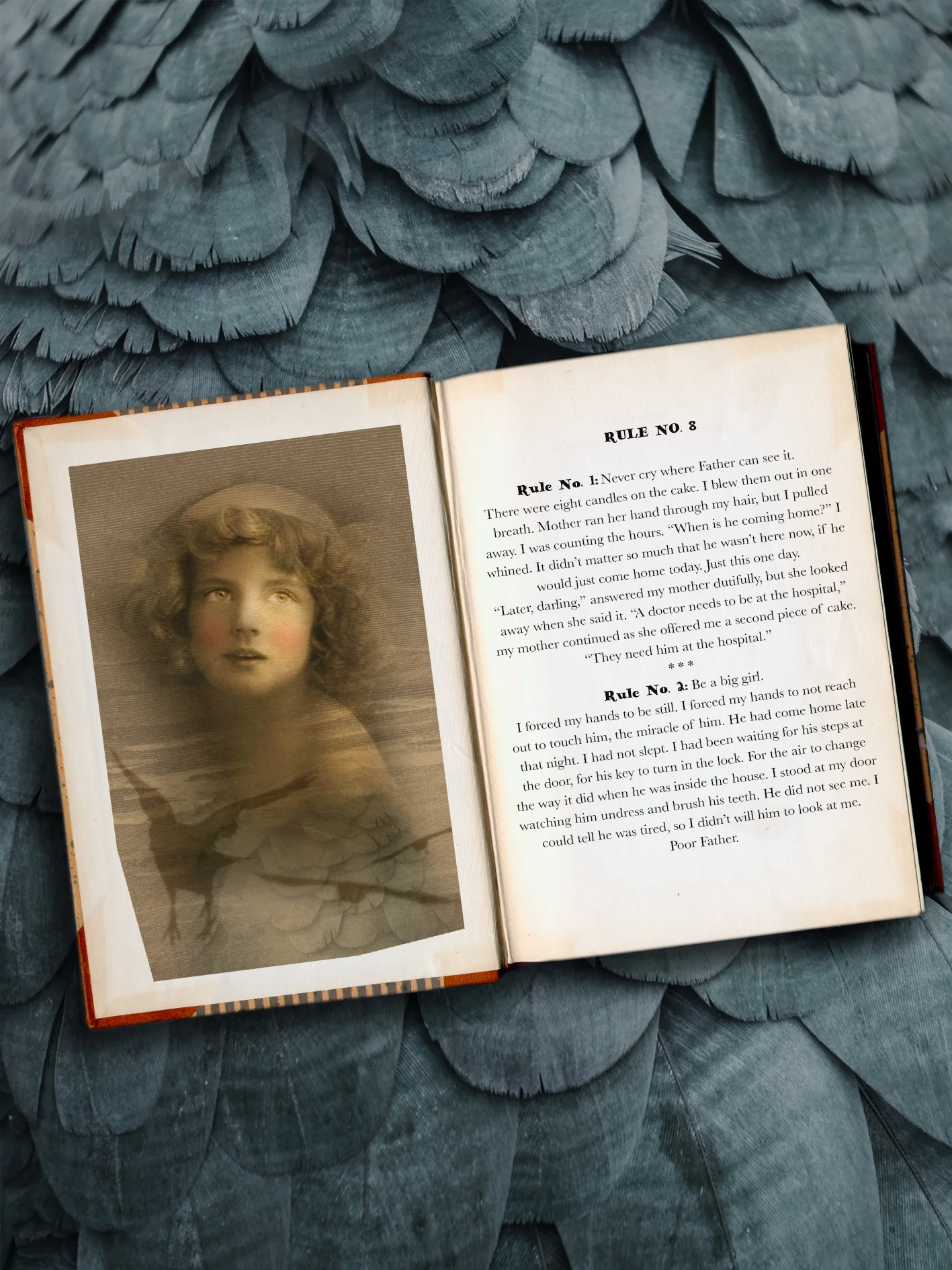 ruleno8_02book.jpg