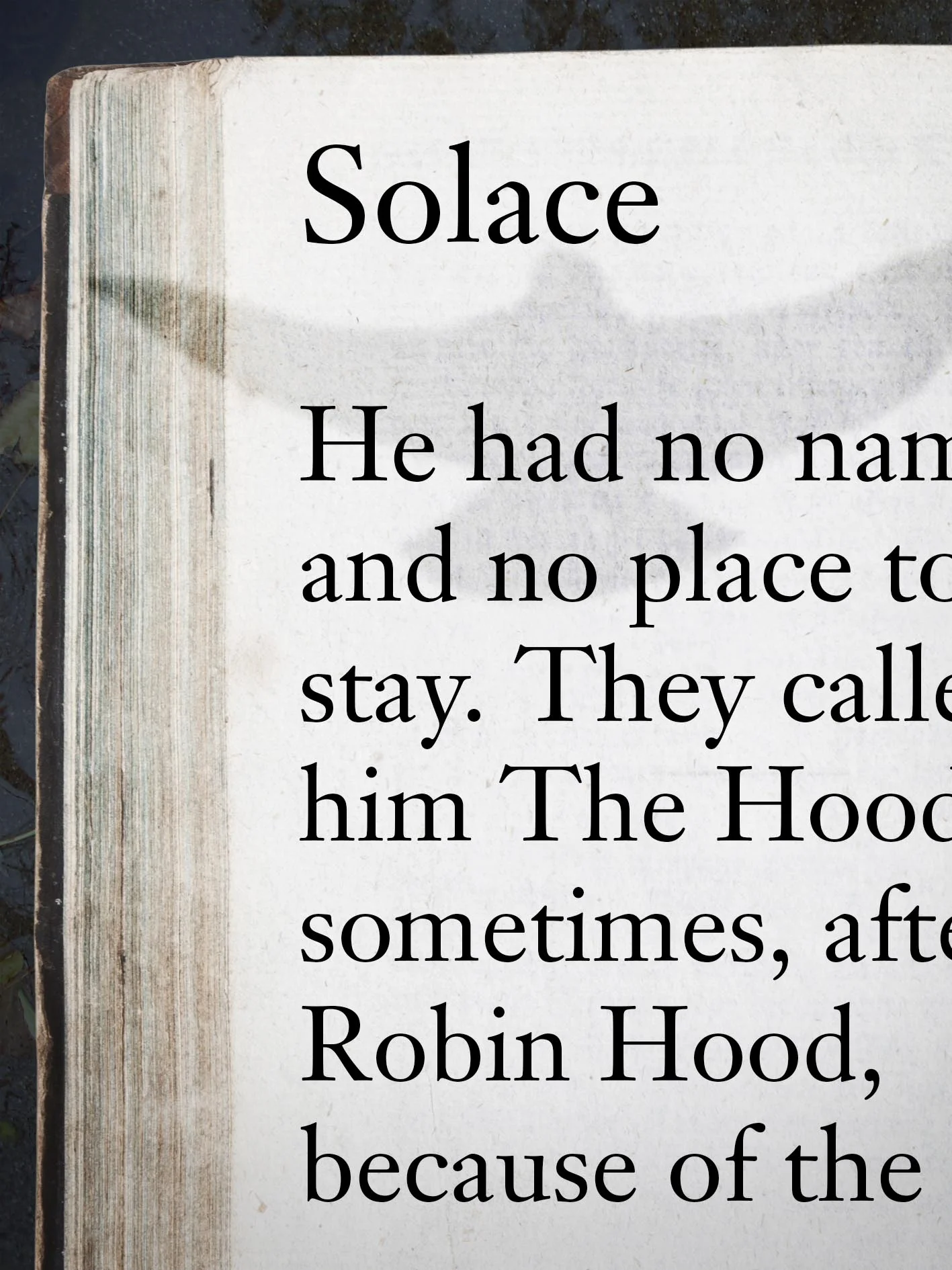solace.jpg