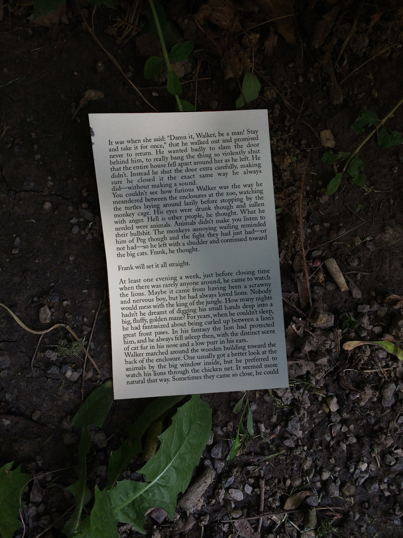 BOOKPAGE on ground enclosure.jpg