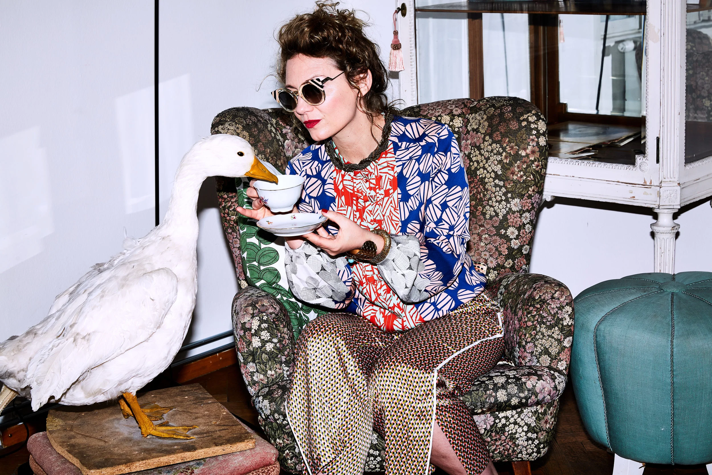 _W4C4404CARO goose 01.jpg