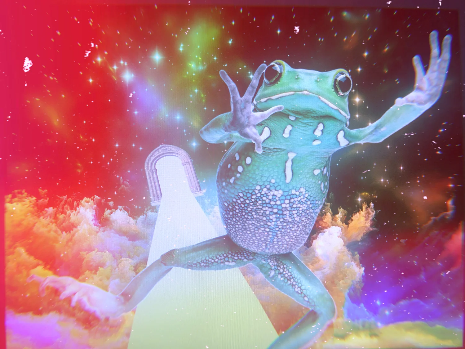frosch 1.jpg