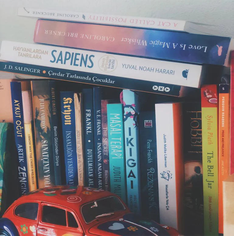bookshelf 4.jpg