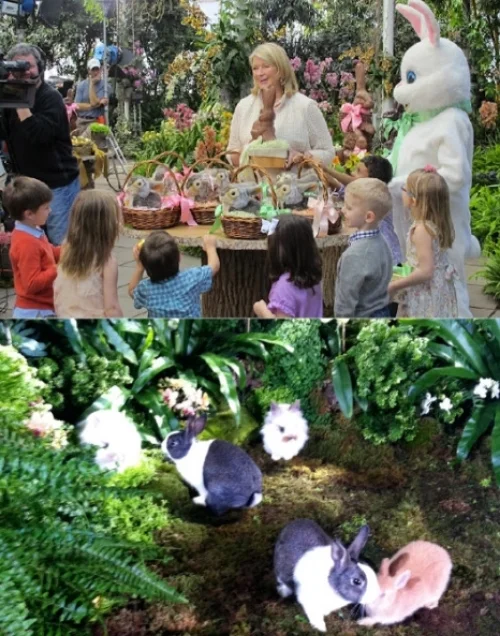 Martha Stewart Eggcellent Easter Special, 2010. Stylist and Crafter.