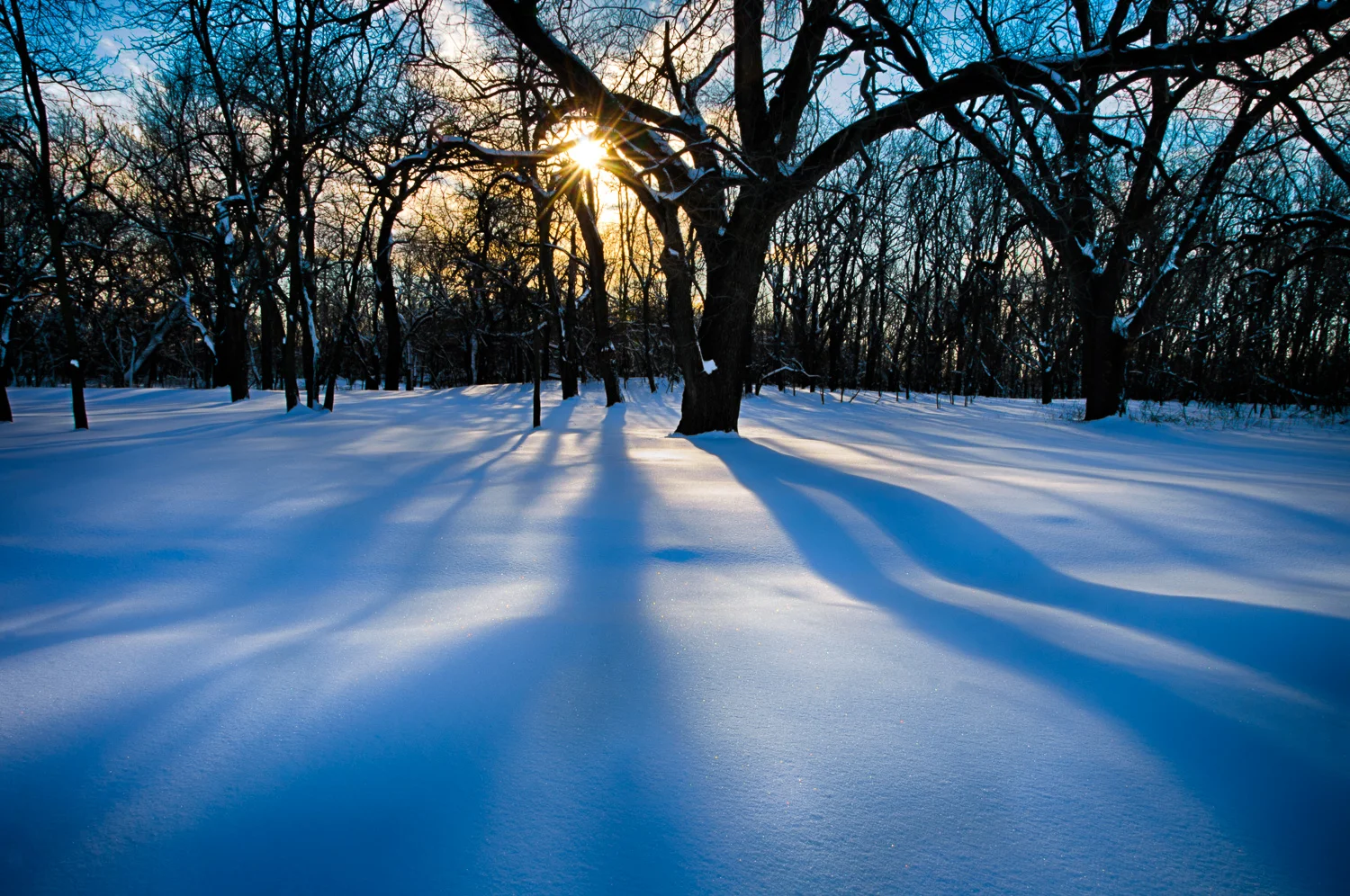 Late Afternoon Shadows Over Fresh Snow