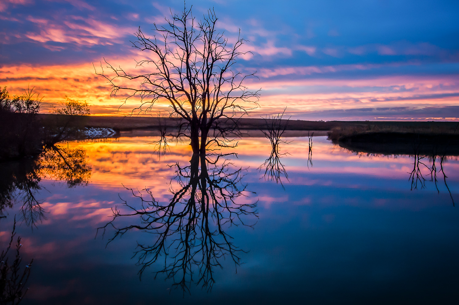 Fall Sunrise Silhouette and Reflection