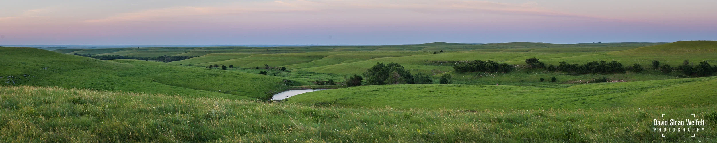 Tallgrass Prairie