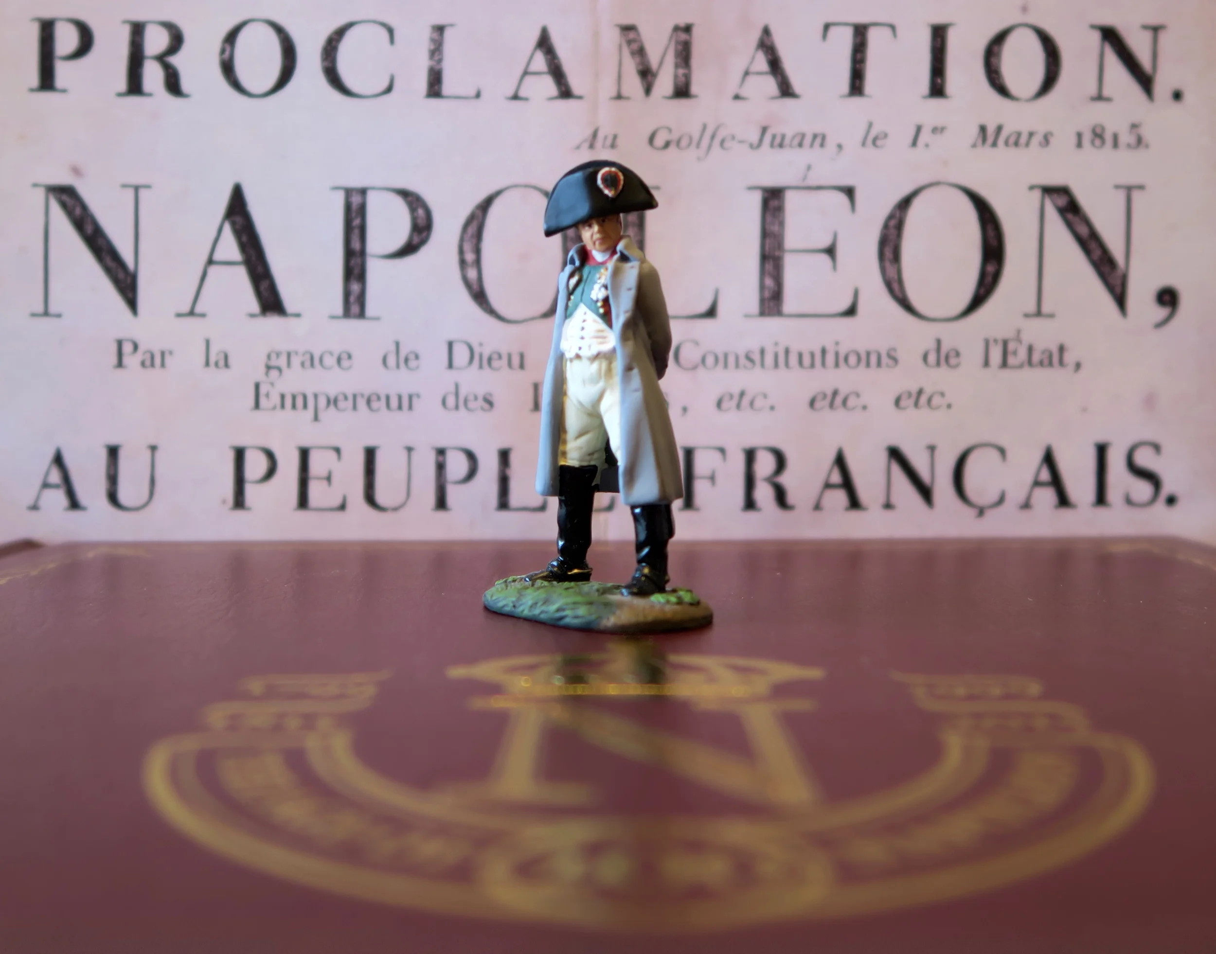 plots and plans napoleon.JPG