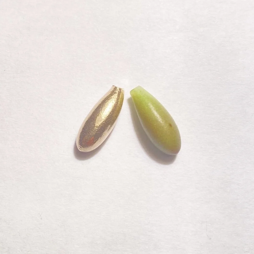 CD7B83C3-50E2-4507-82DA-18653BFD4DED