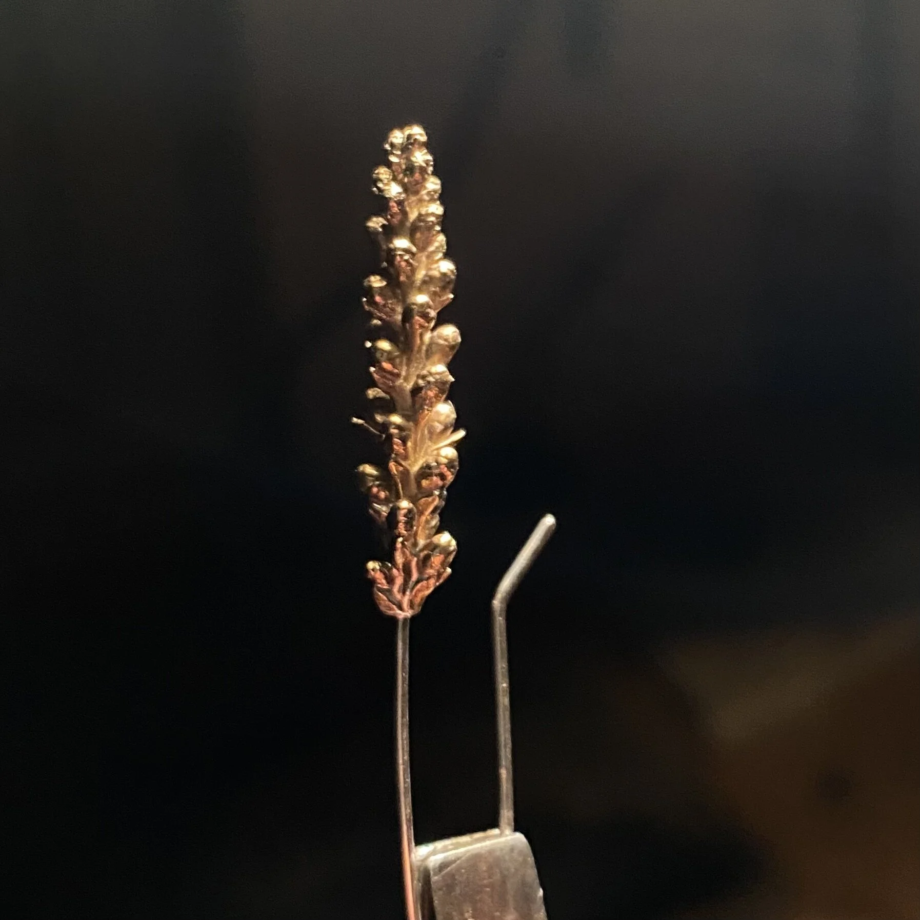 FAEF4E6B-8310-4F44-A030-5606BFF3448F