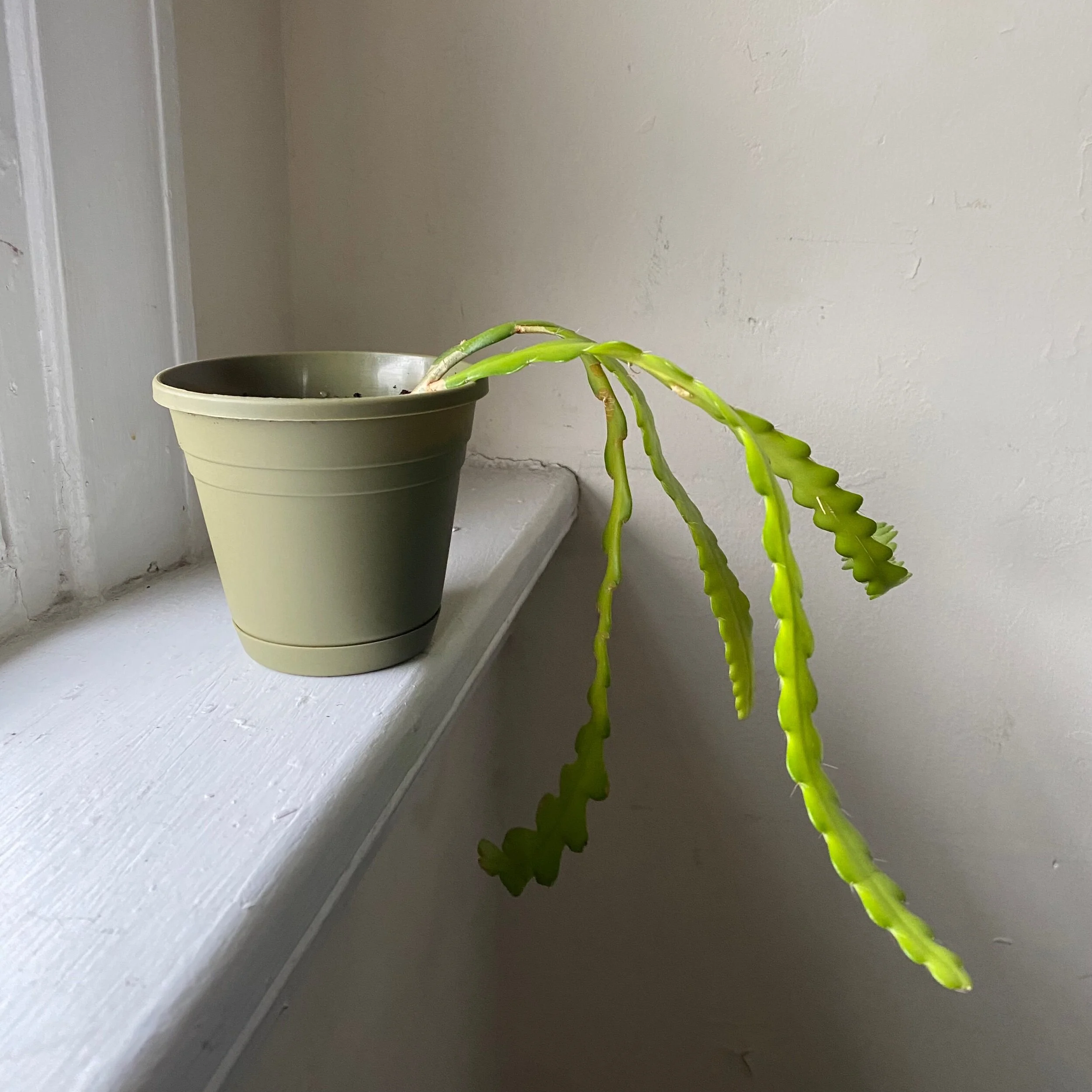 2B169EA4-1B7D-4846-85DF-00114BA15C40