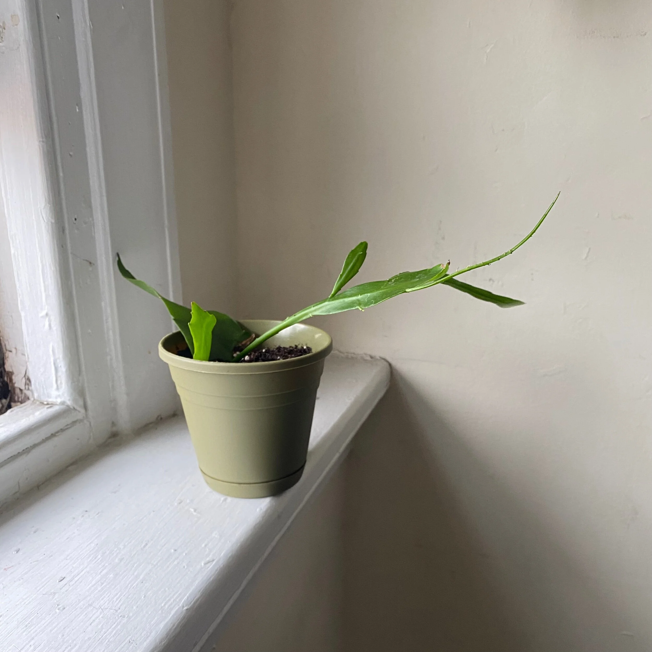 37B31A6E-F233-4DB7-9536-C669818FB17B