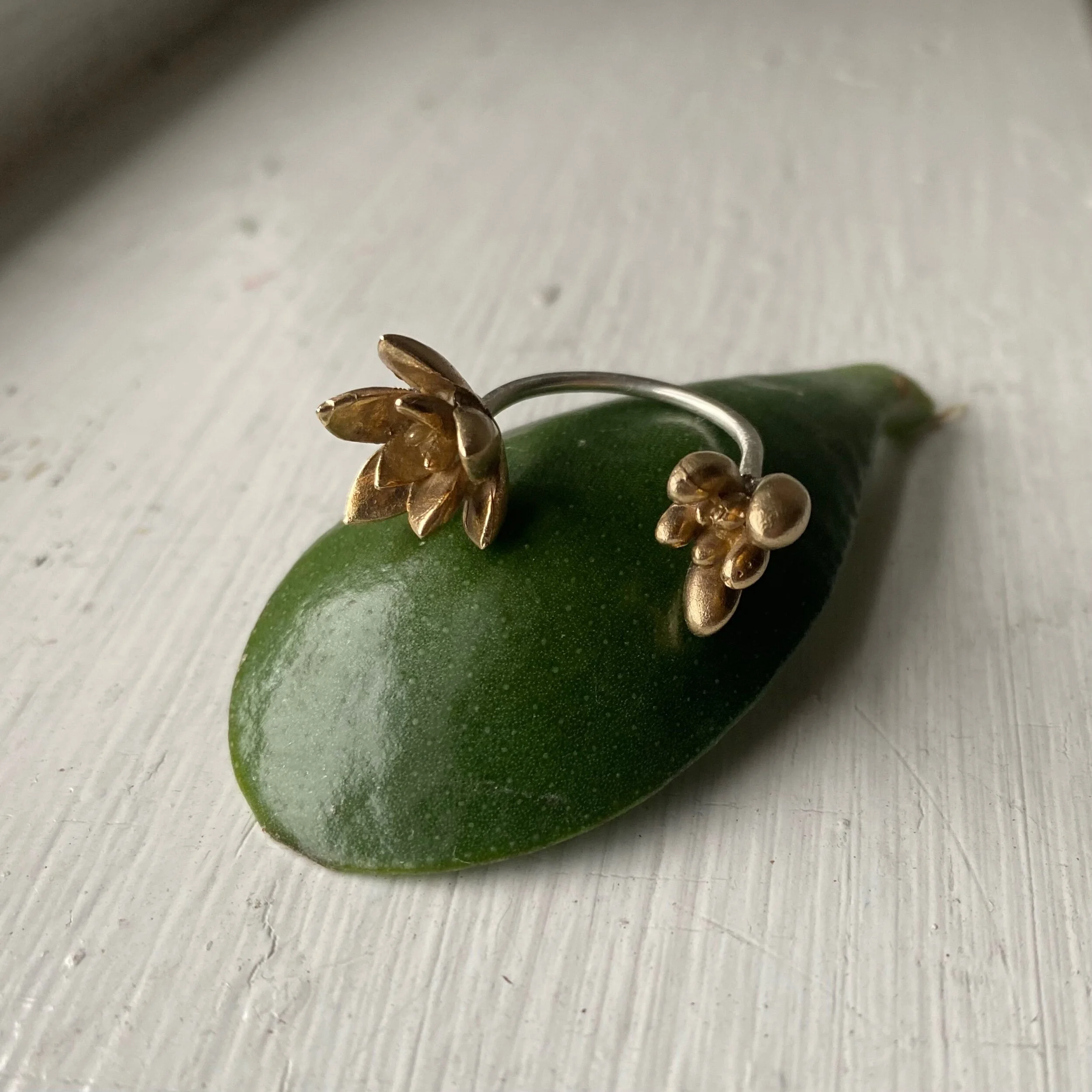 675A98F4-822A-4330-B47F-0C69E0C1BD0E