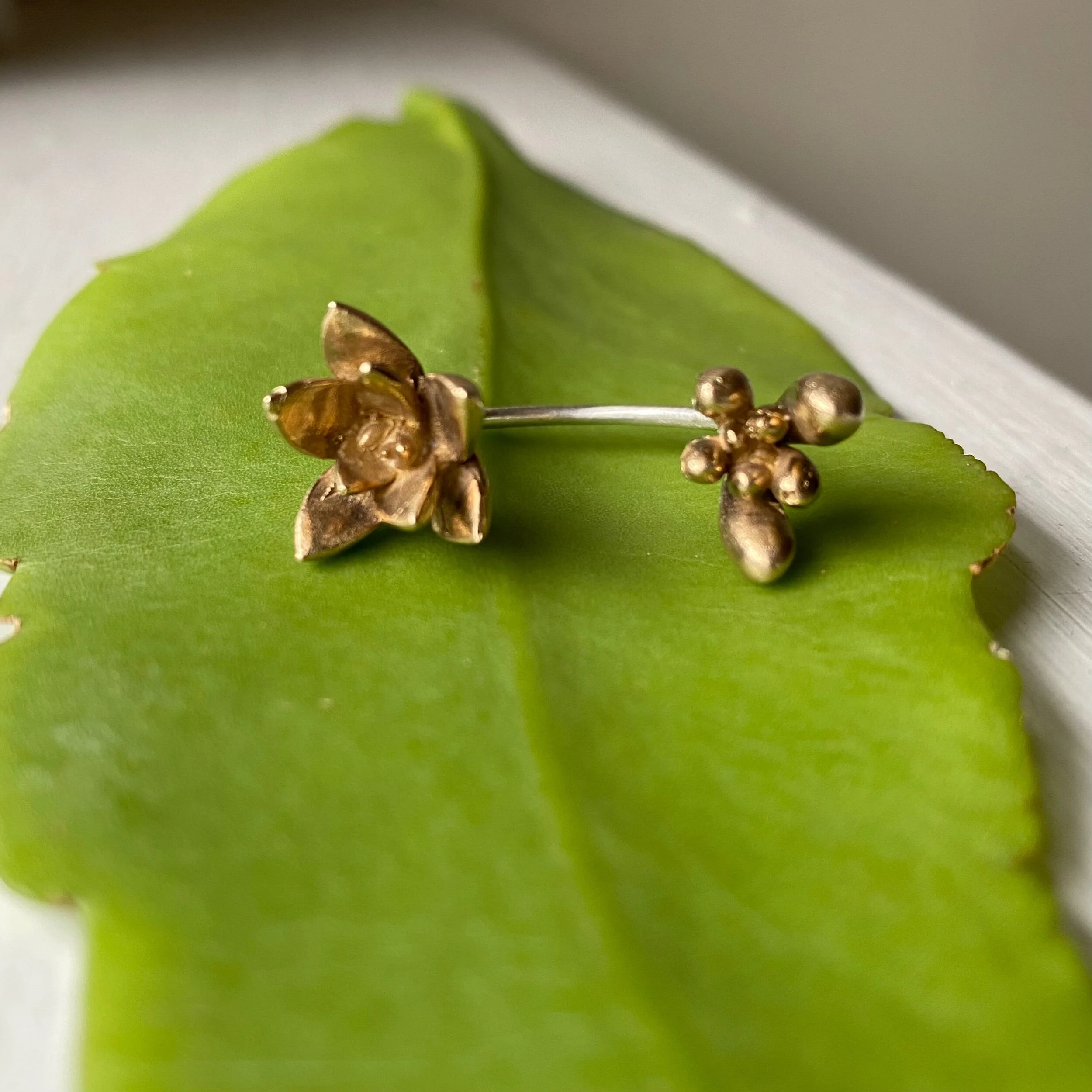 478591AB-0439-4176-9CE6-42968ADA9F44