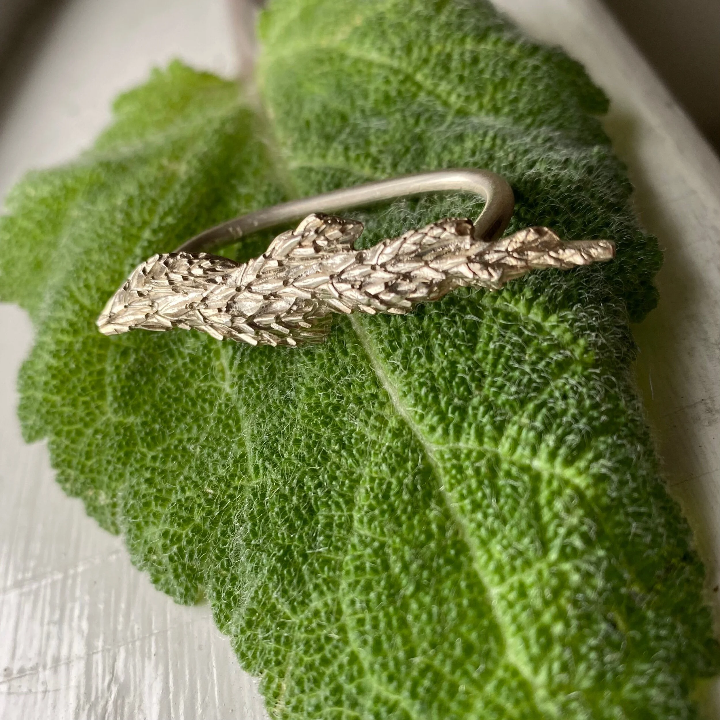 35983D1A-0D0E-4E3D-962E-0FA90C6E3E8C