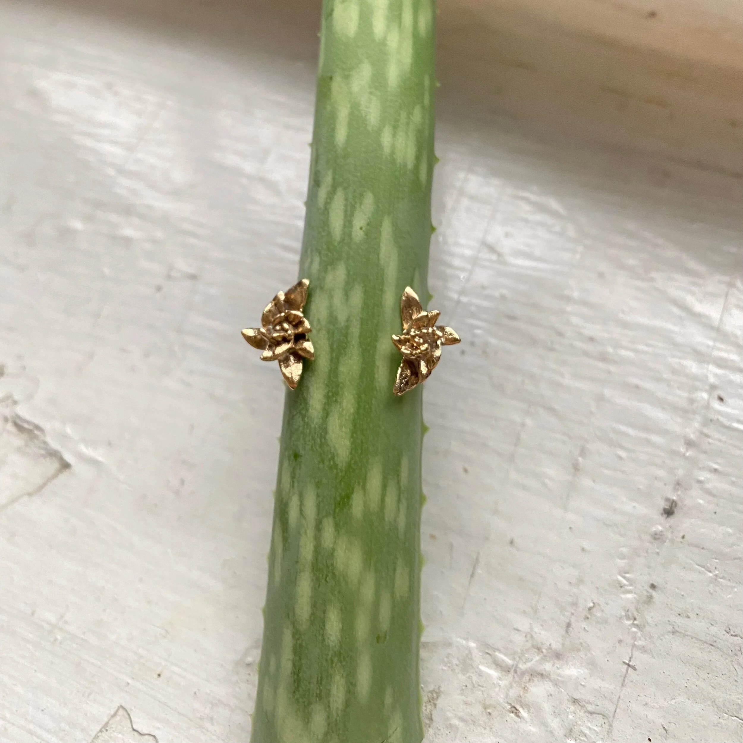 09795777-0772-46A9-B0C6-25D726D756B9