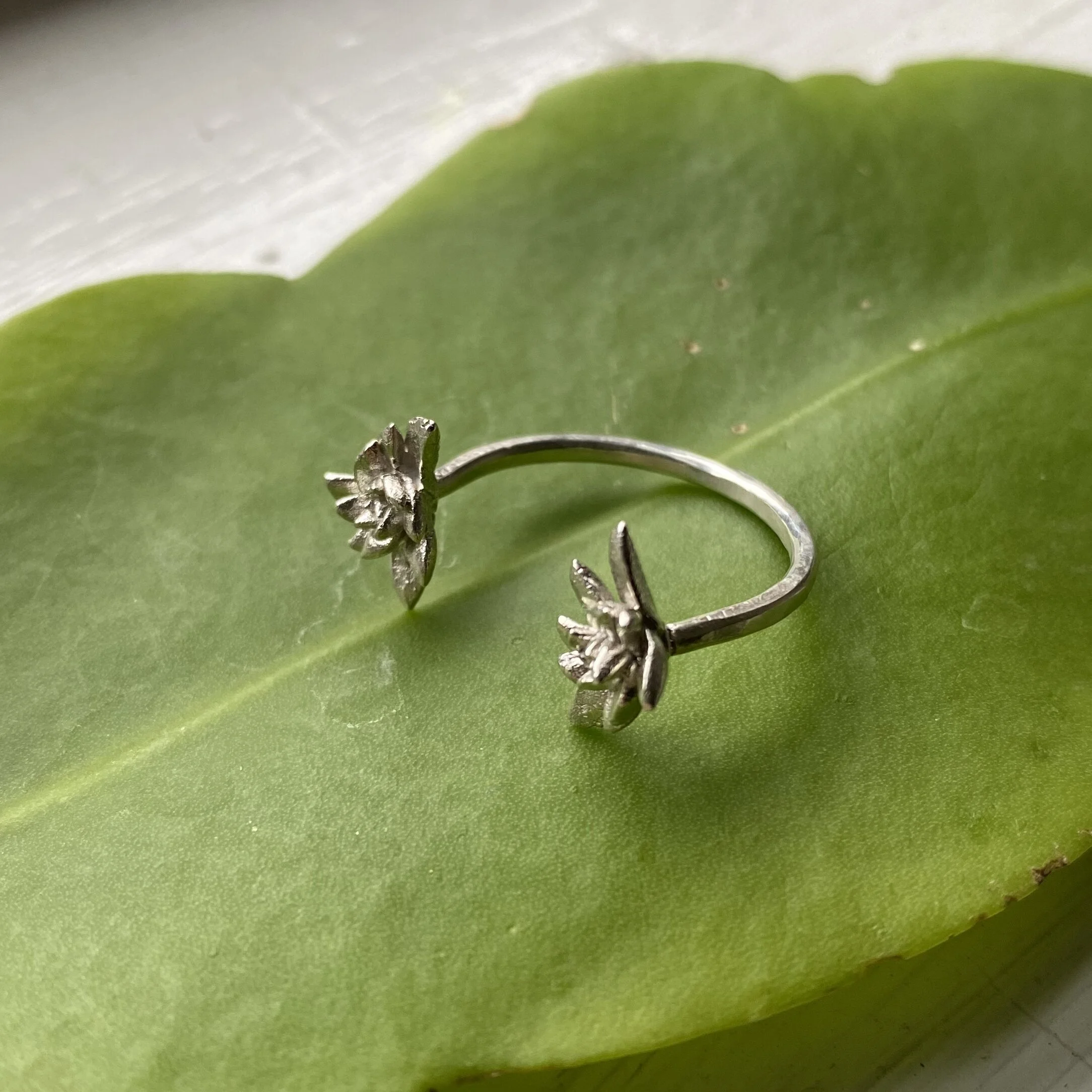 B0CF4BE8-9E84-41BD-A6F8-DB49D45171DE