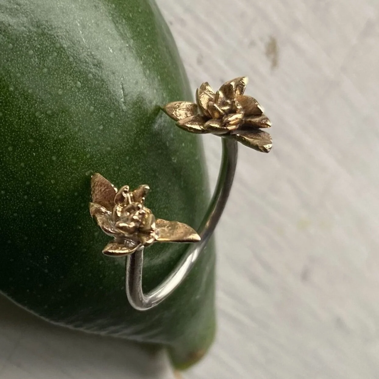 FE559F8F-7362-44AC-A01E-6078445EC1C2