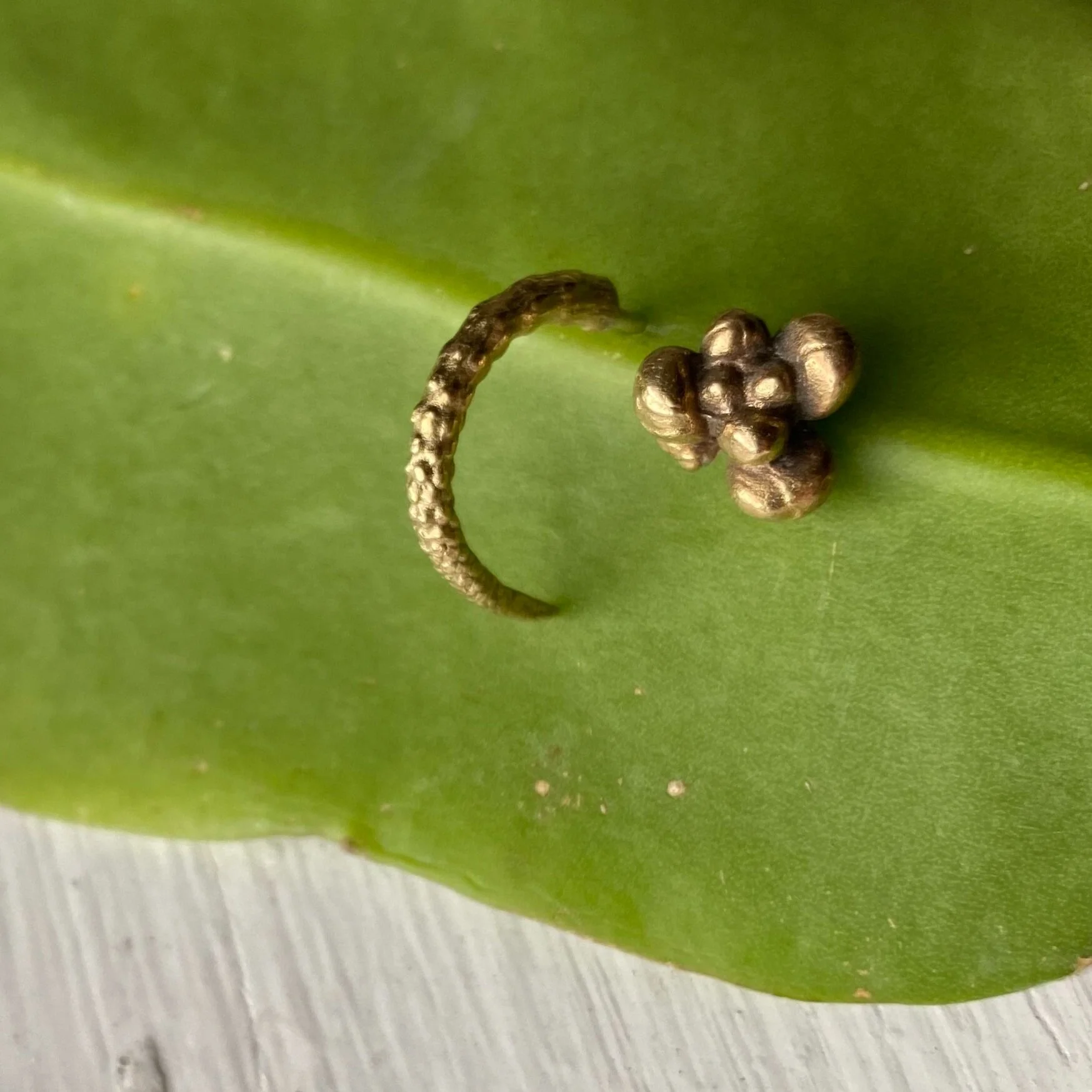 74ADA2D6-6885-4AB2-856B-70376CF2DB0B