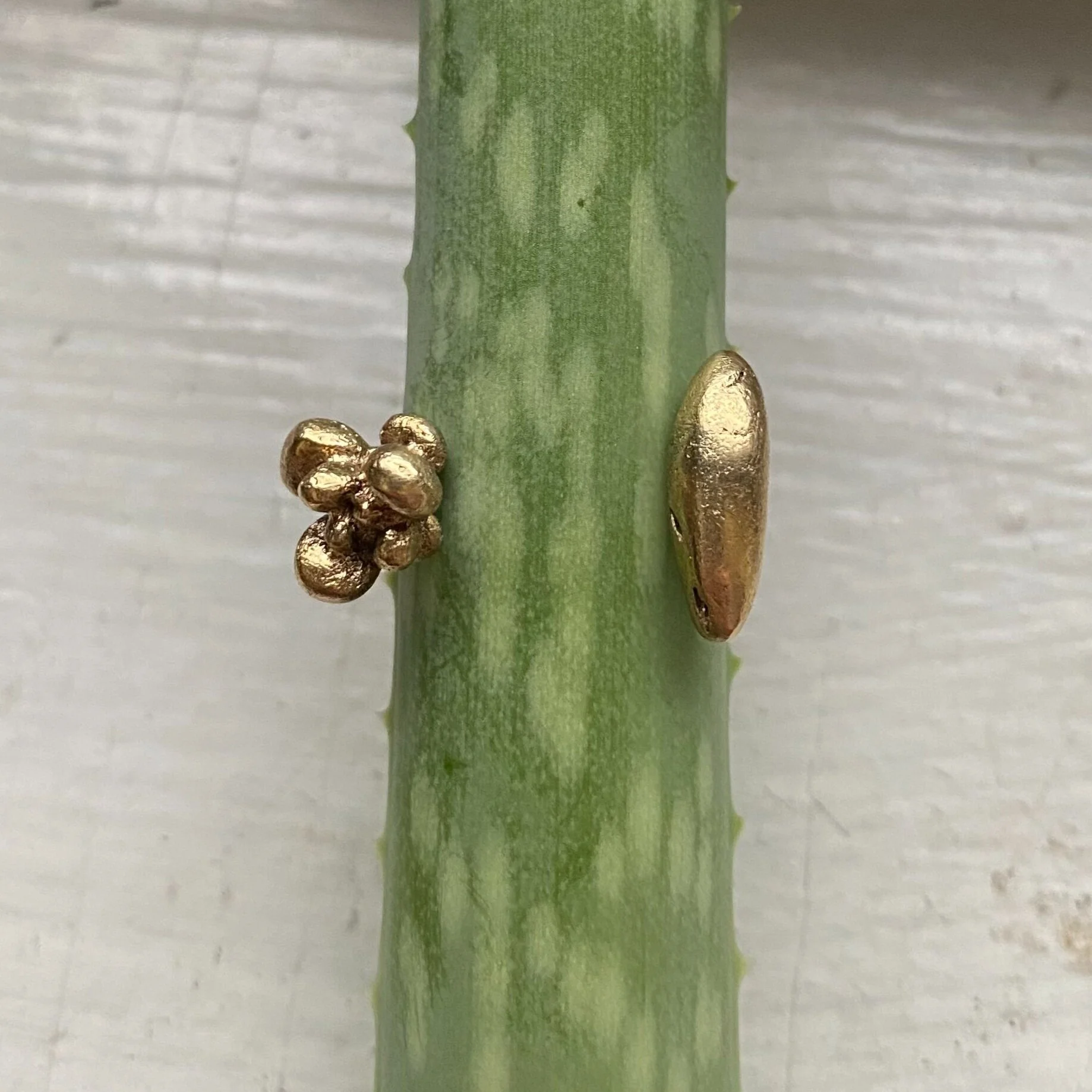 C0E08F90-FE09-4C85-9345-01044A89F607