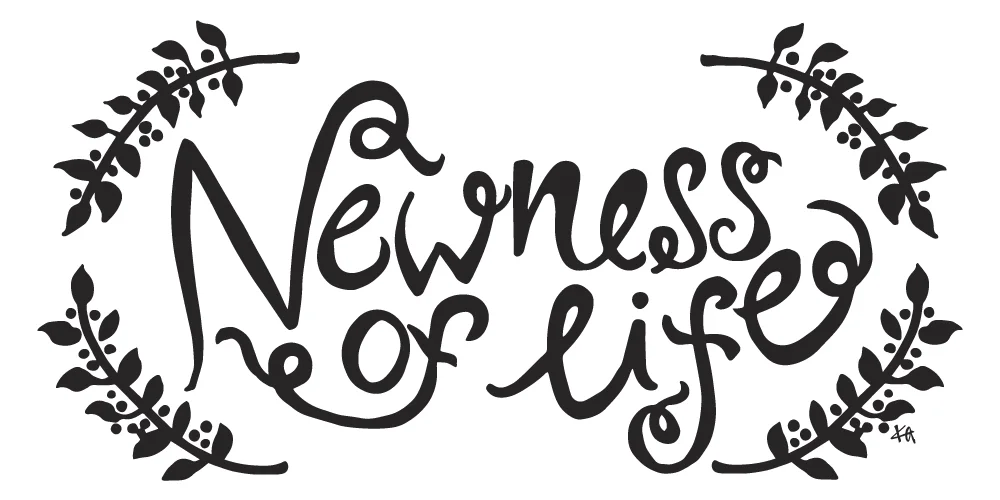 Newness-Free-Download.jpg