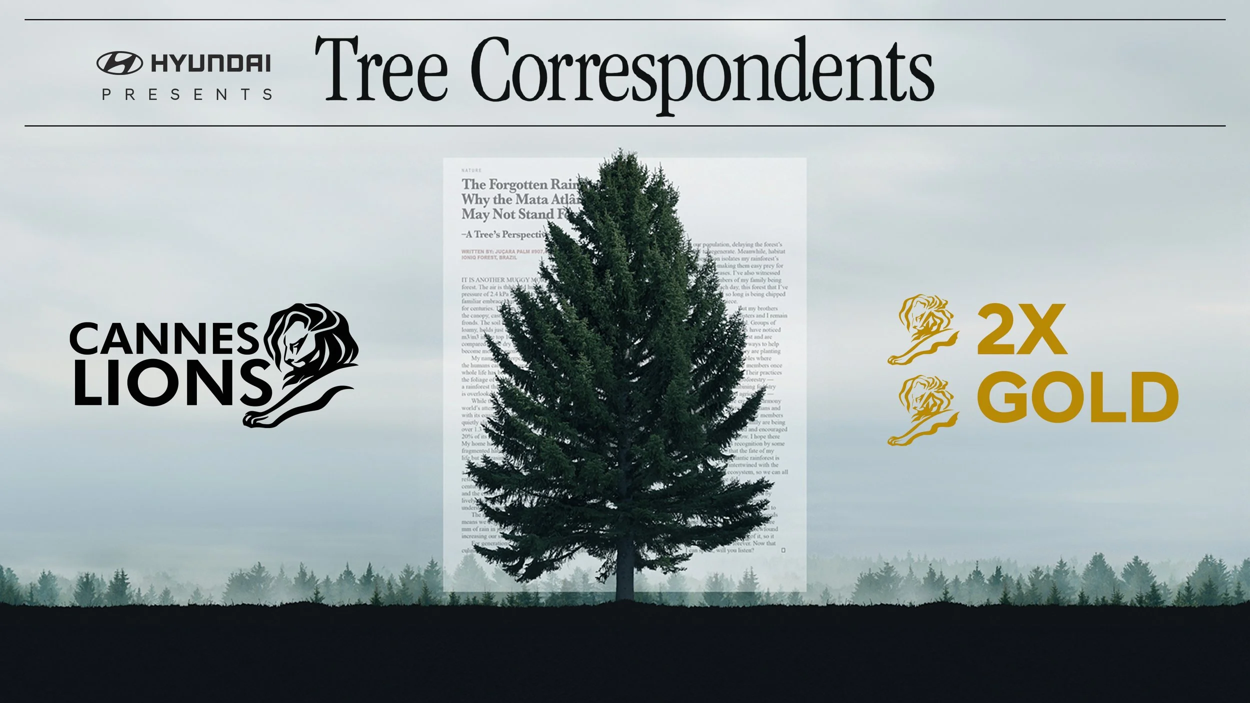 Hyundai | Tree Correspondents