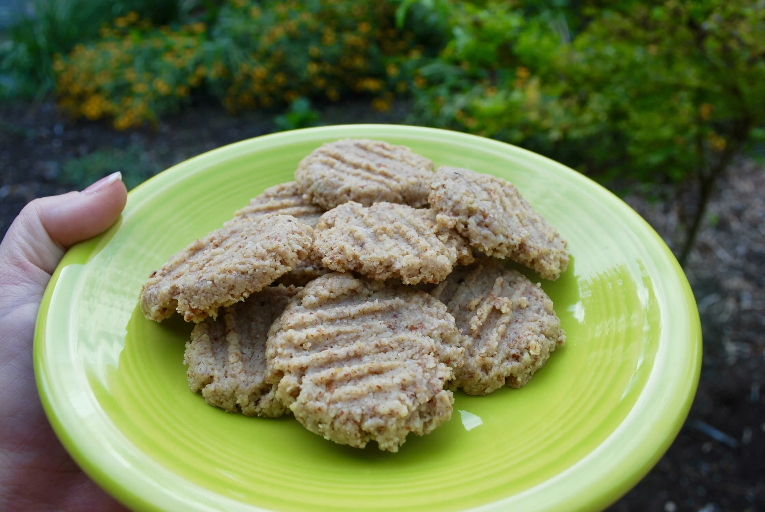 "Just One Cookie Won't Hurt!" (Low Carb and Temptation)