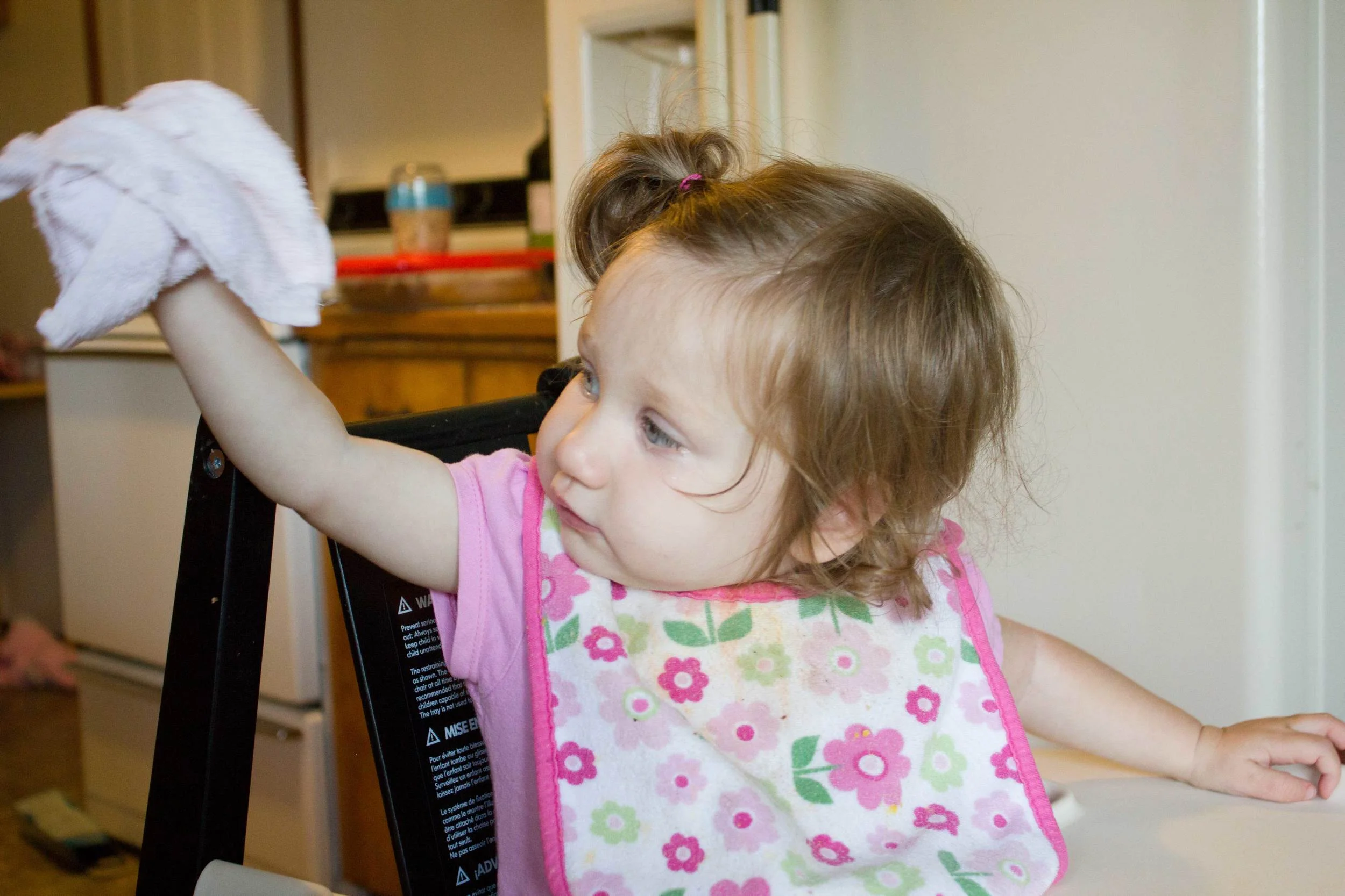 All done wiping off her tray. I didn't teach her or tell her to do it, she just saw me wiping her tray and wanted to do it herself. Simple service.