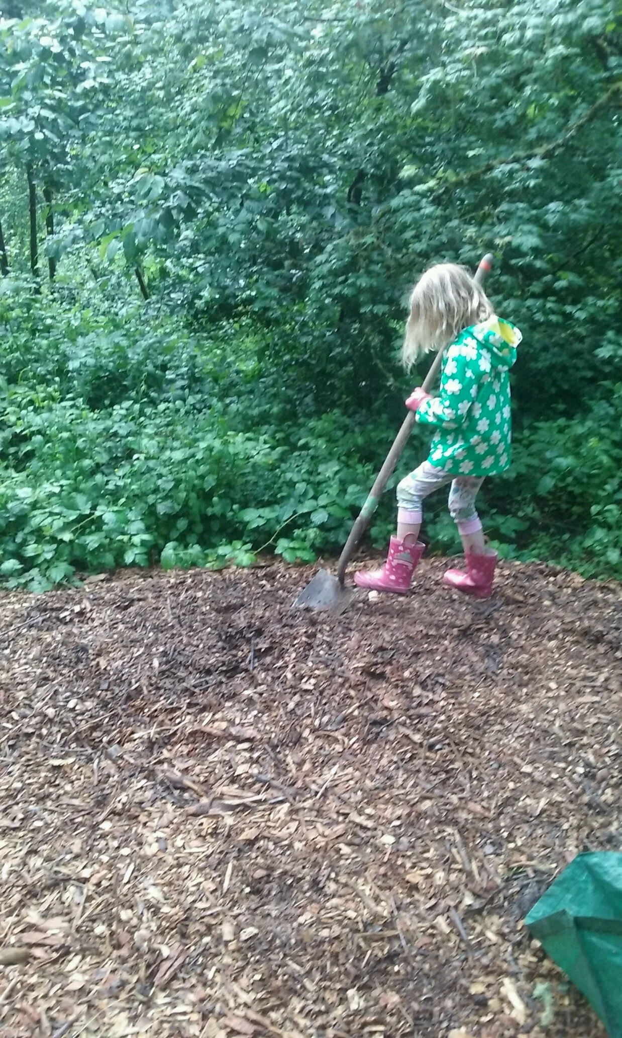 digging.jpg