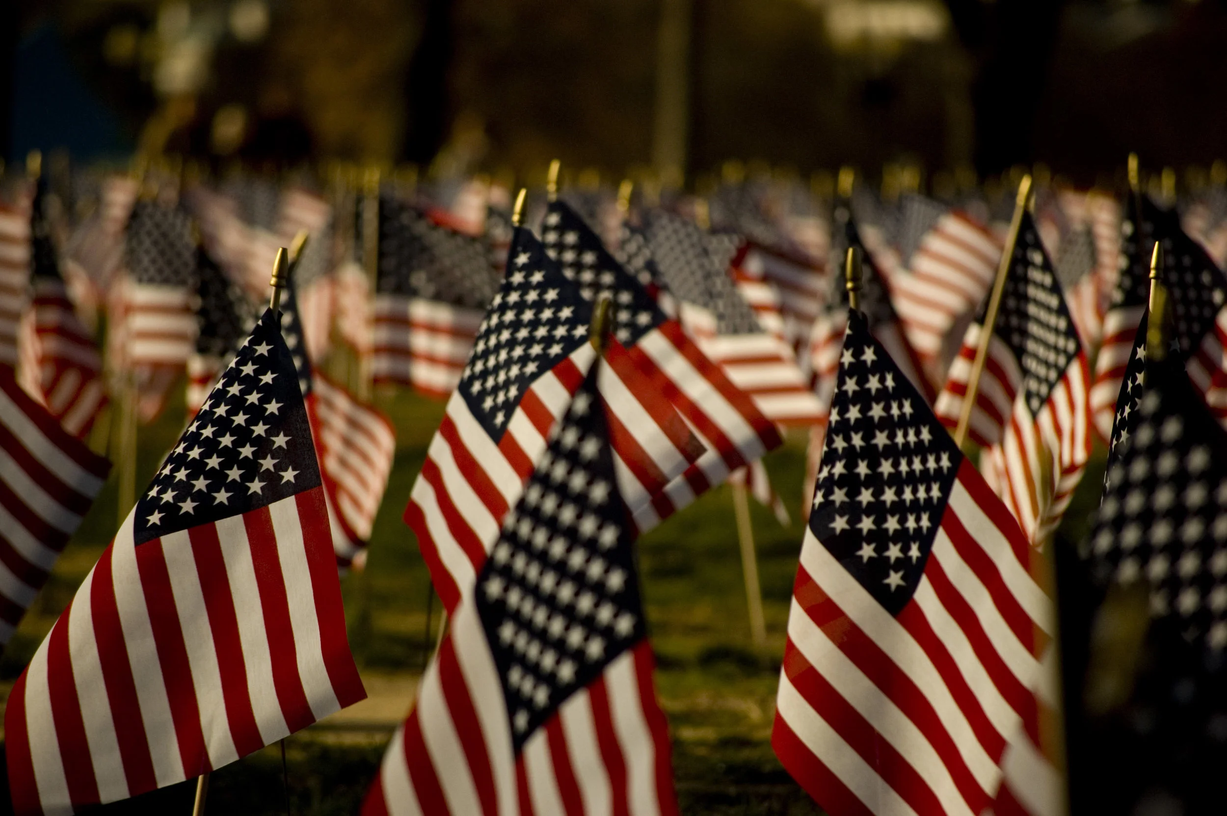 Veteran's Celebration & Service Project
