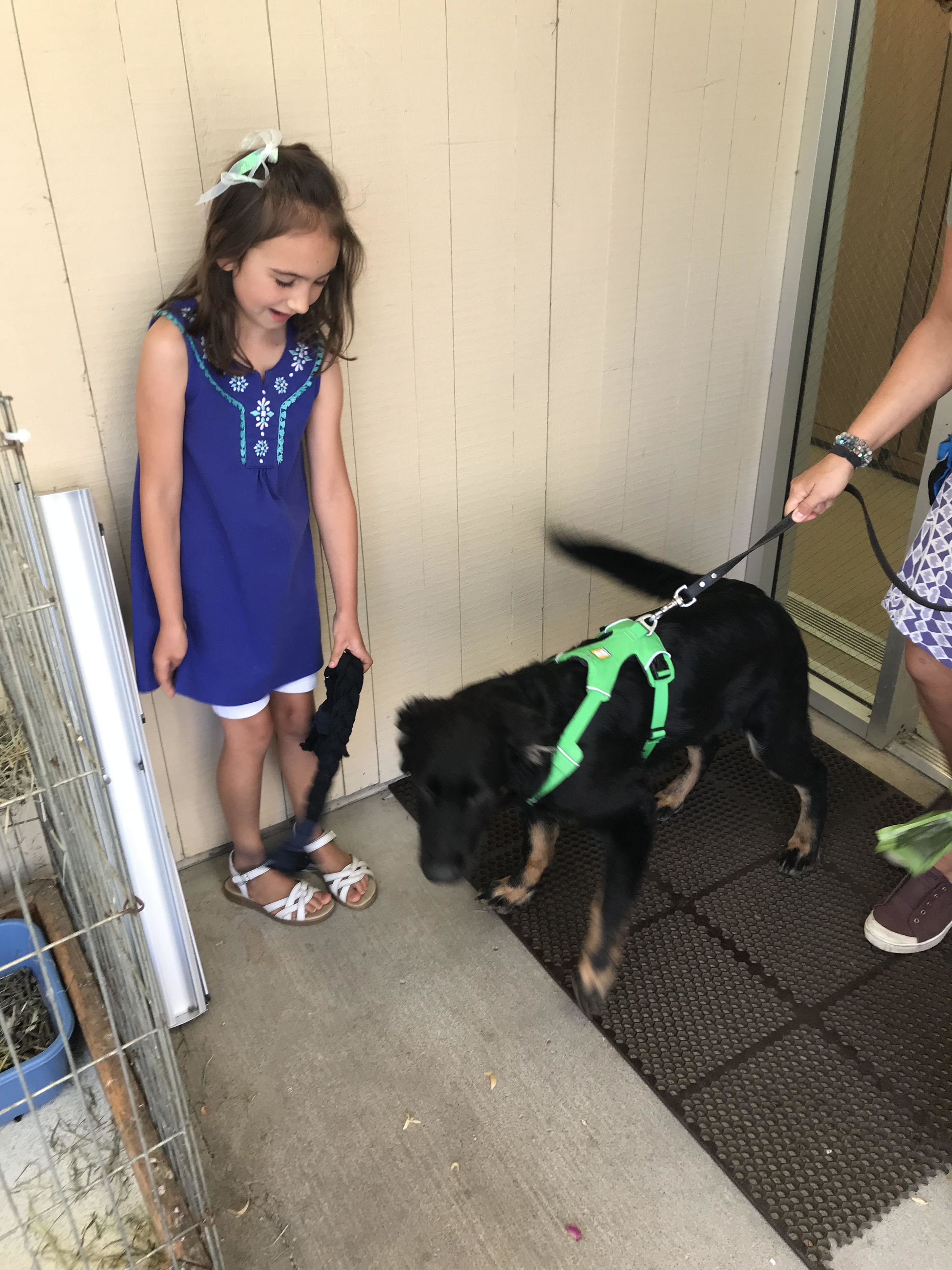 Liv with dog .jpg
