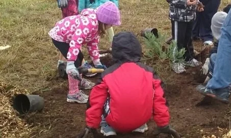 planting.jpg